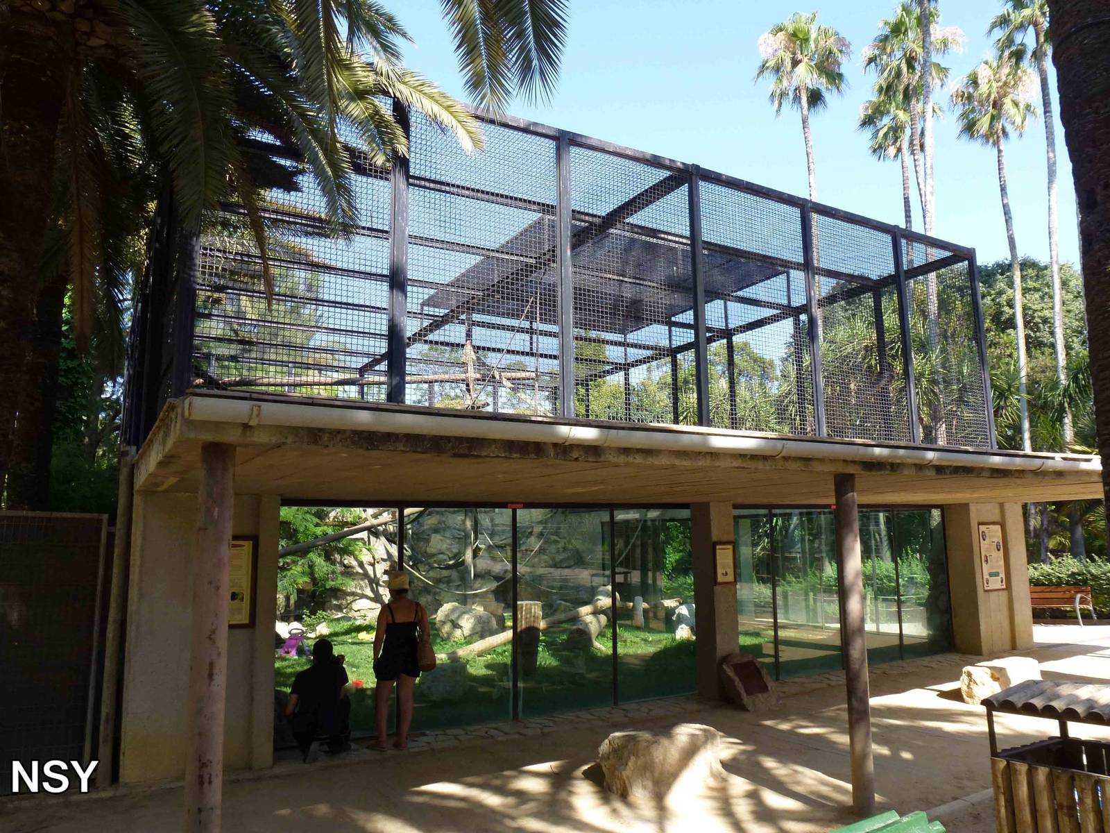 Chimpanzee enclosure, July 2013.