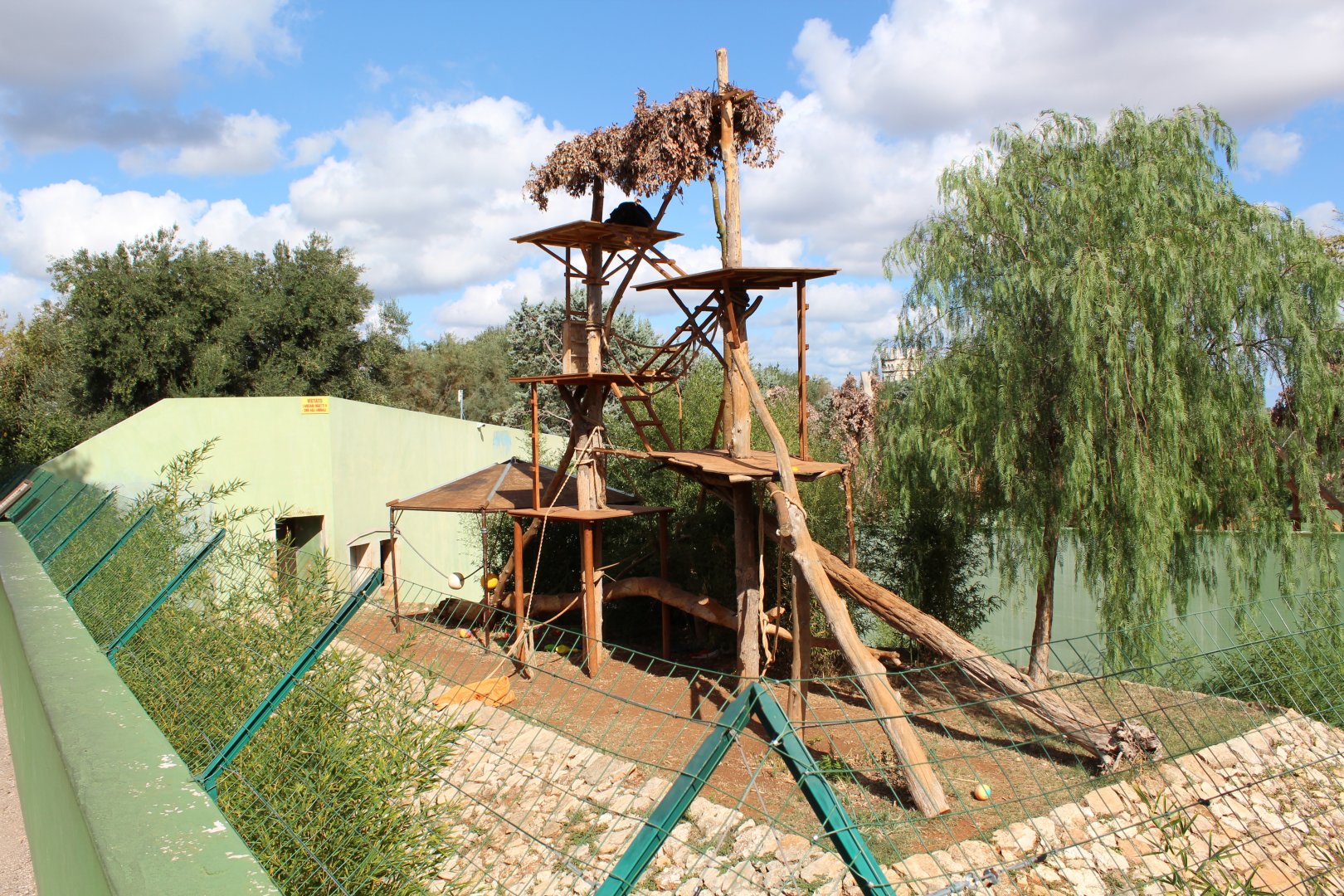 Chimpanzee Enclosure - Oct 2019