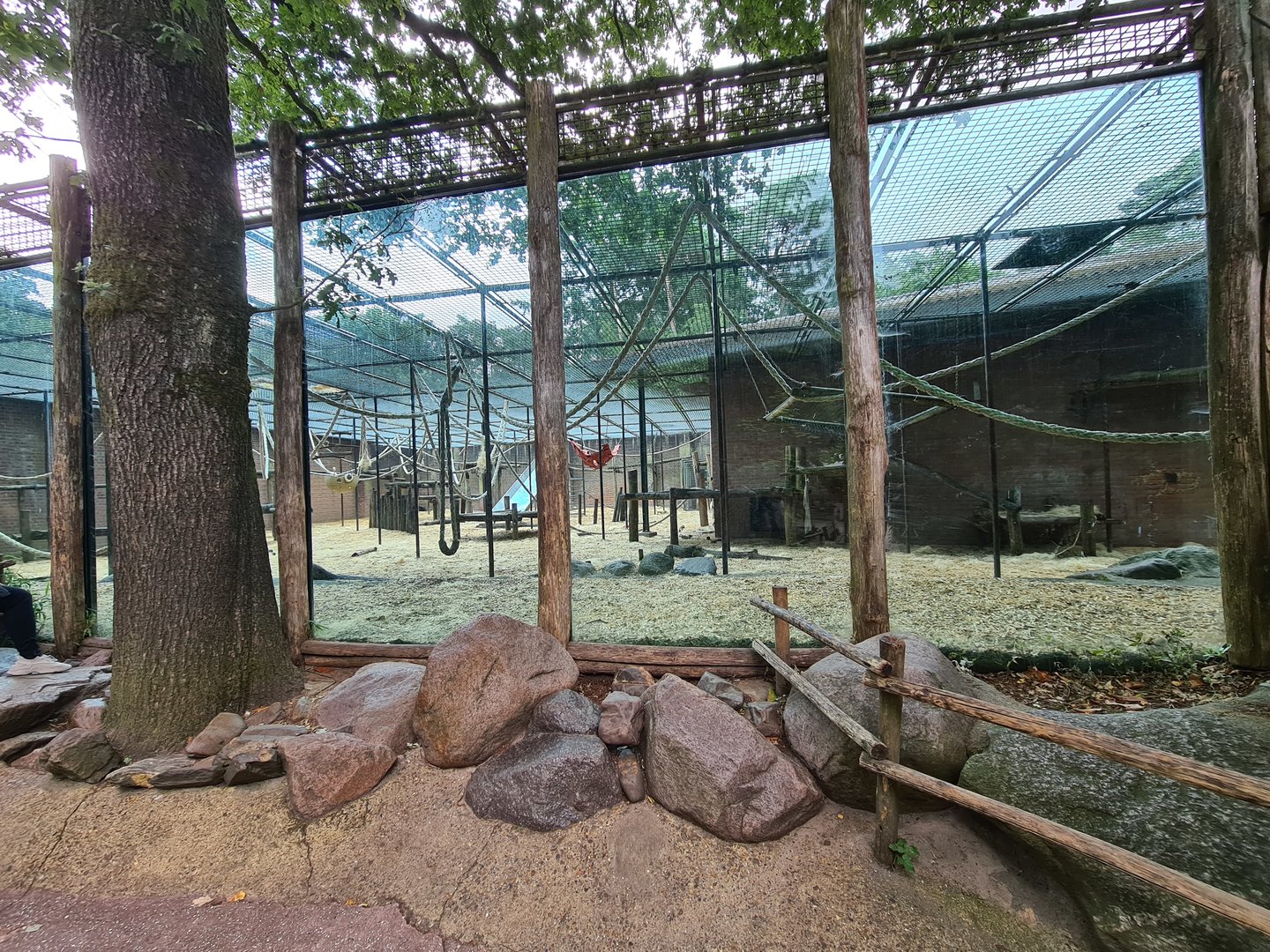 Chimpanzee enclosure (oof)