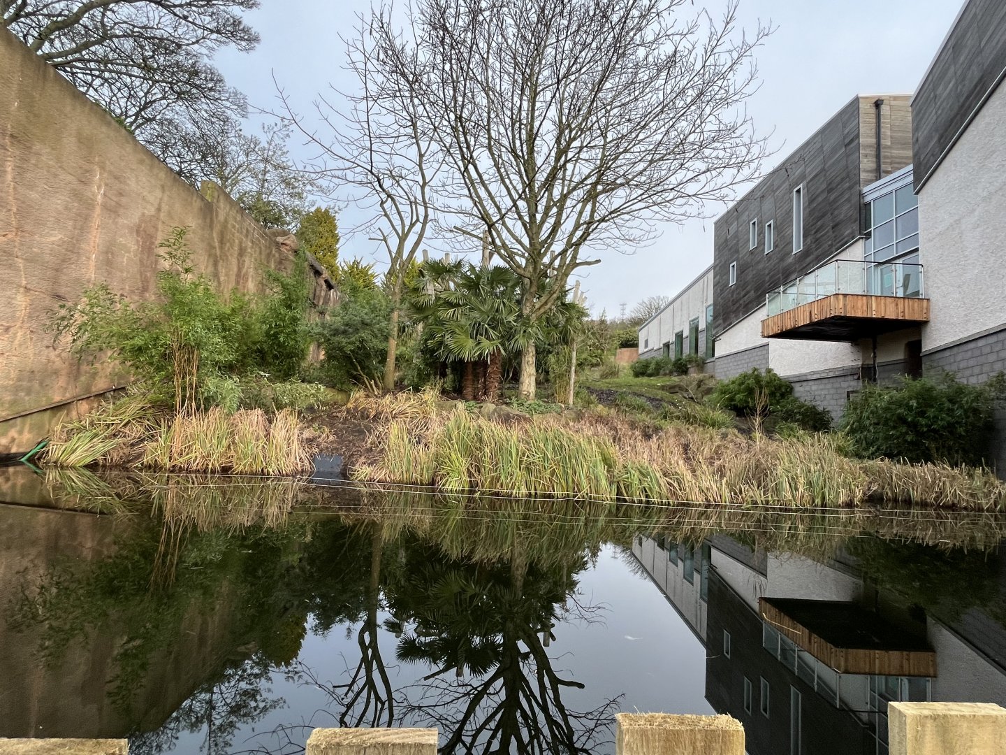 Chimpanzee enclosure over moat 13.1.24