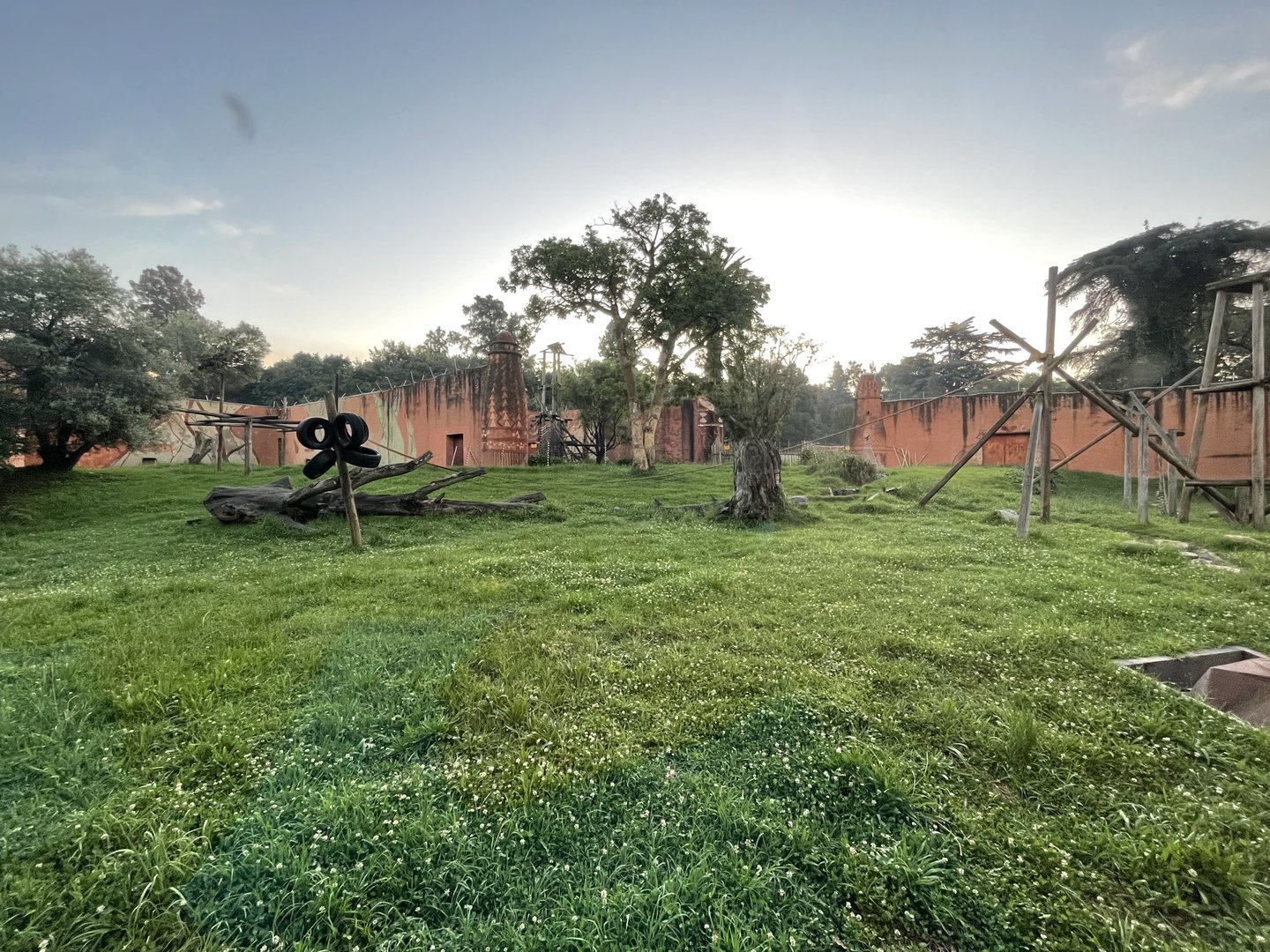 Chimpanzee Enclosure (Pan troglodytes)
