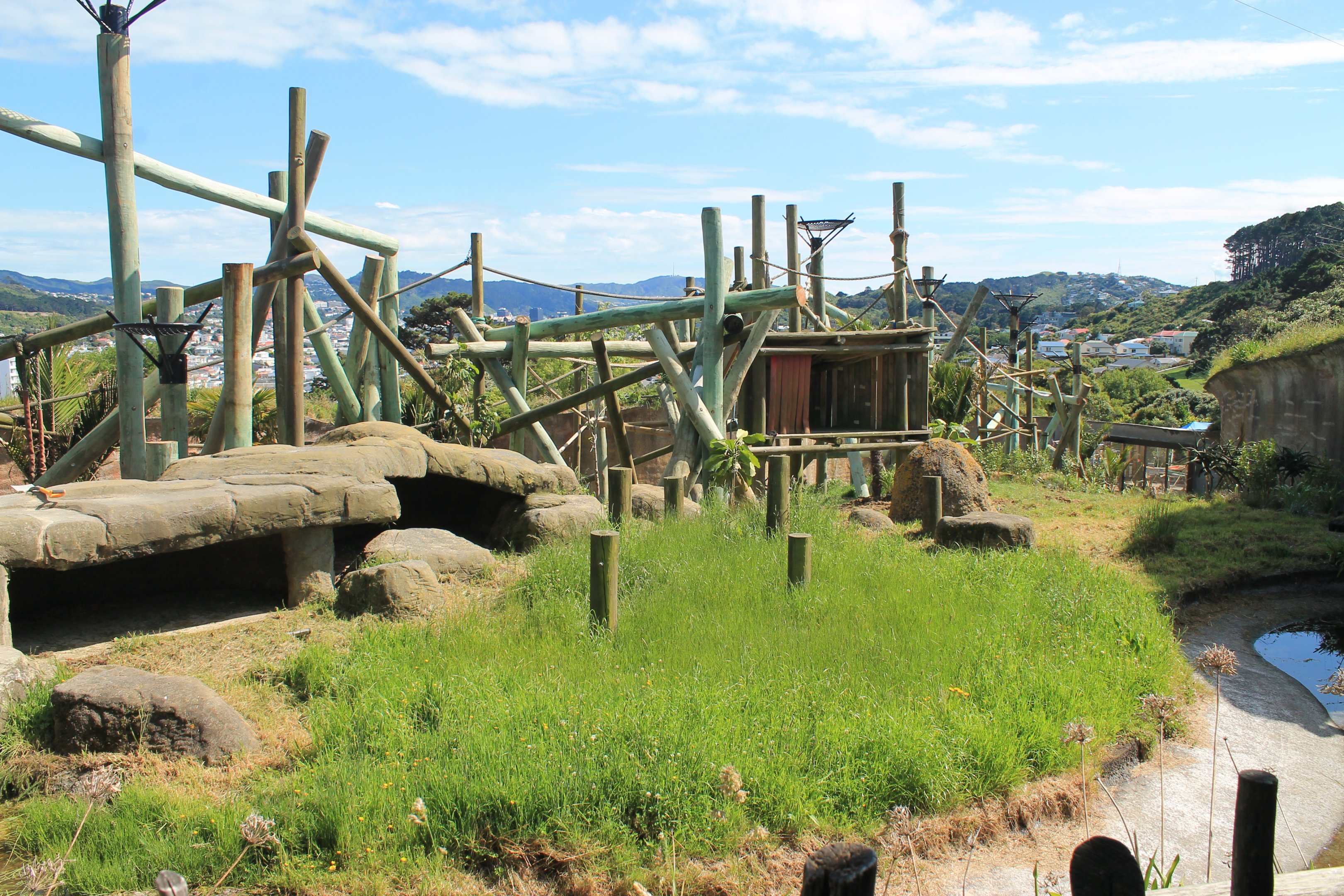 Chimpanzee Enclosure Redevelopment