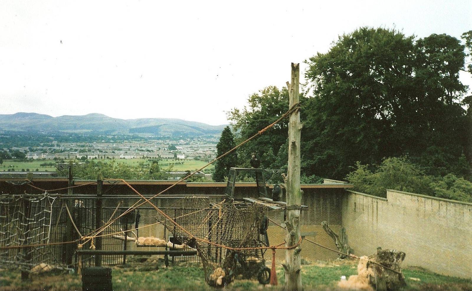 Chimpanzee Enclosure September 1991