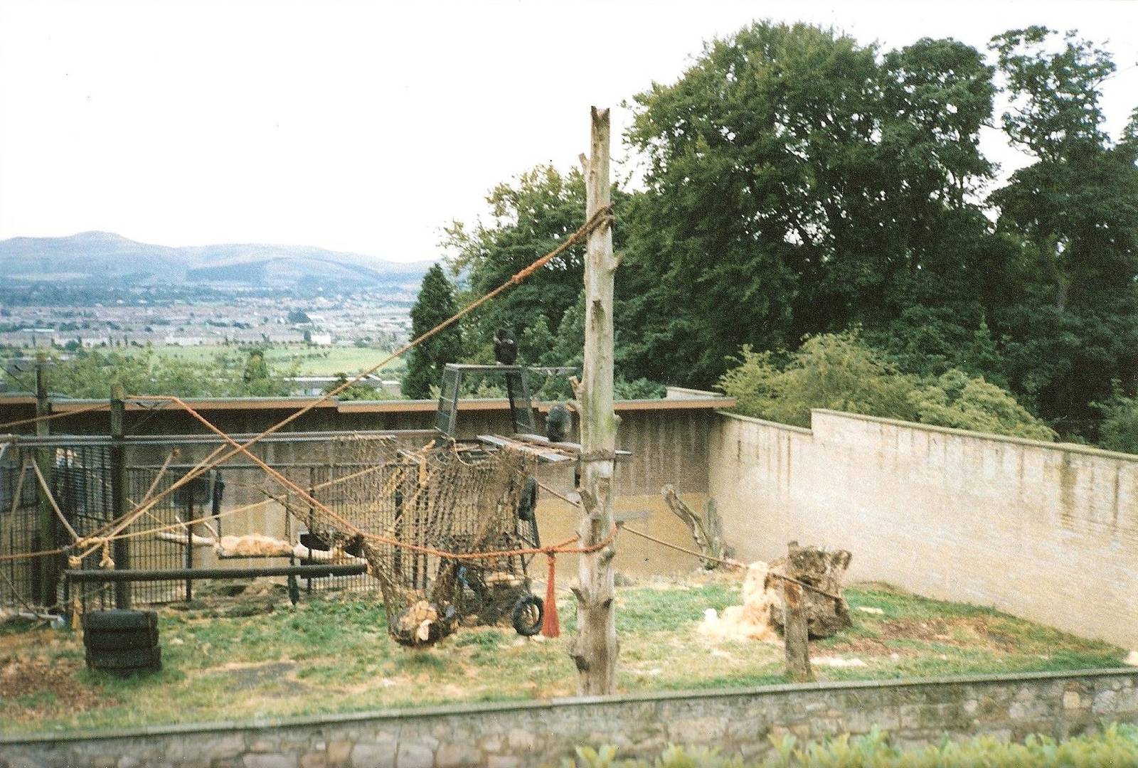 Chimpanzee Enclosure September 1991