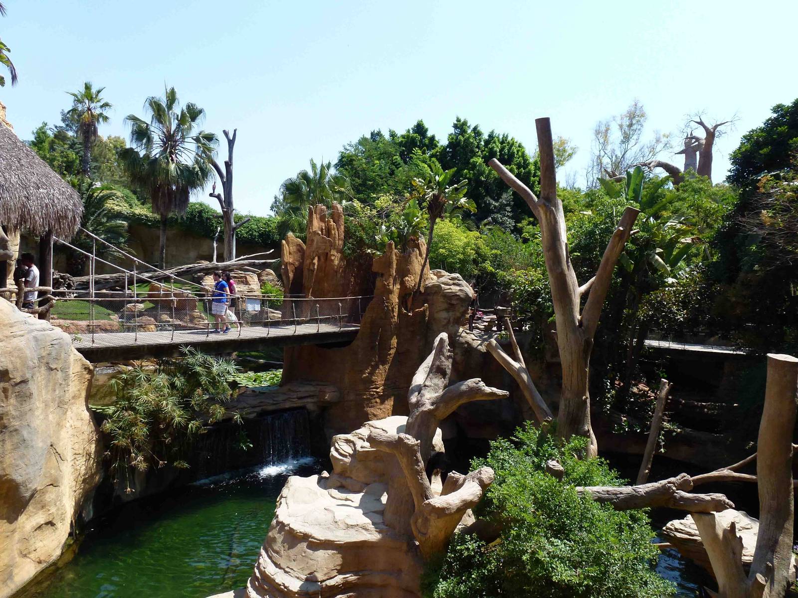 Chimpanzee enclosure with bridge, July 2013.