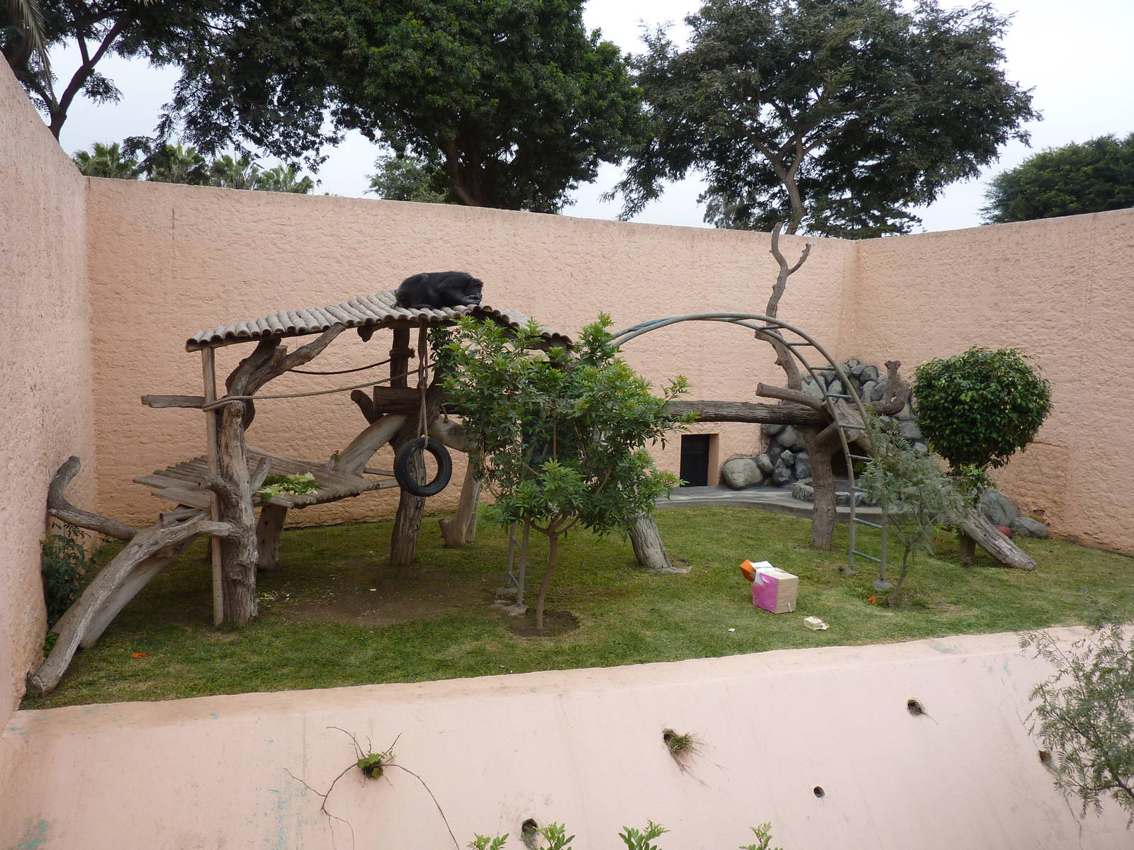 Chimpanzee enclosure
