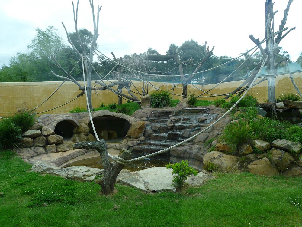 Chimpanzee enclosure