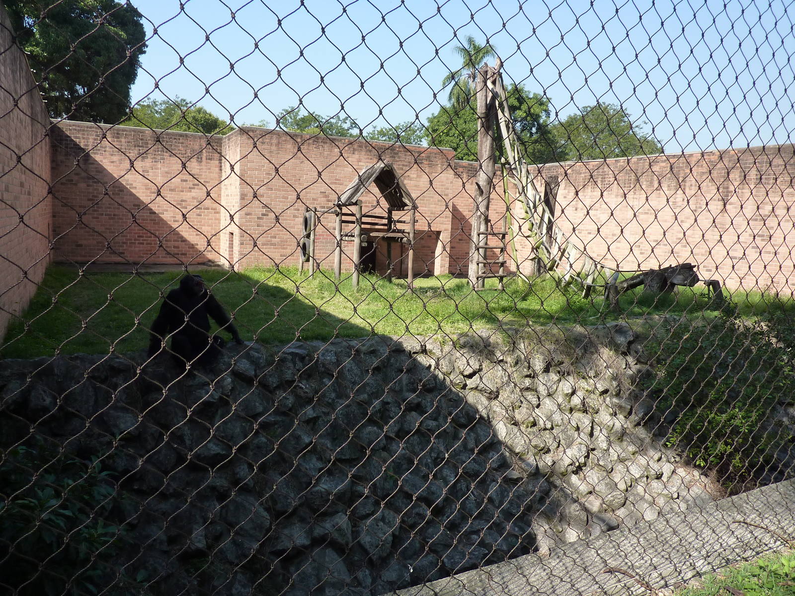 Chimpanzee enclosure