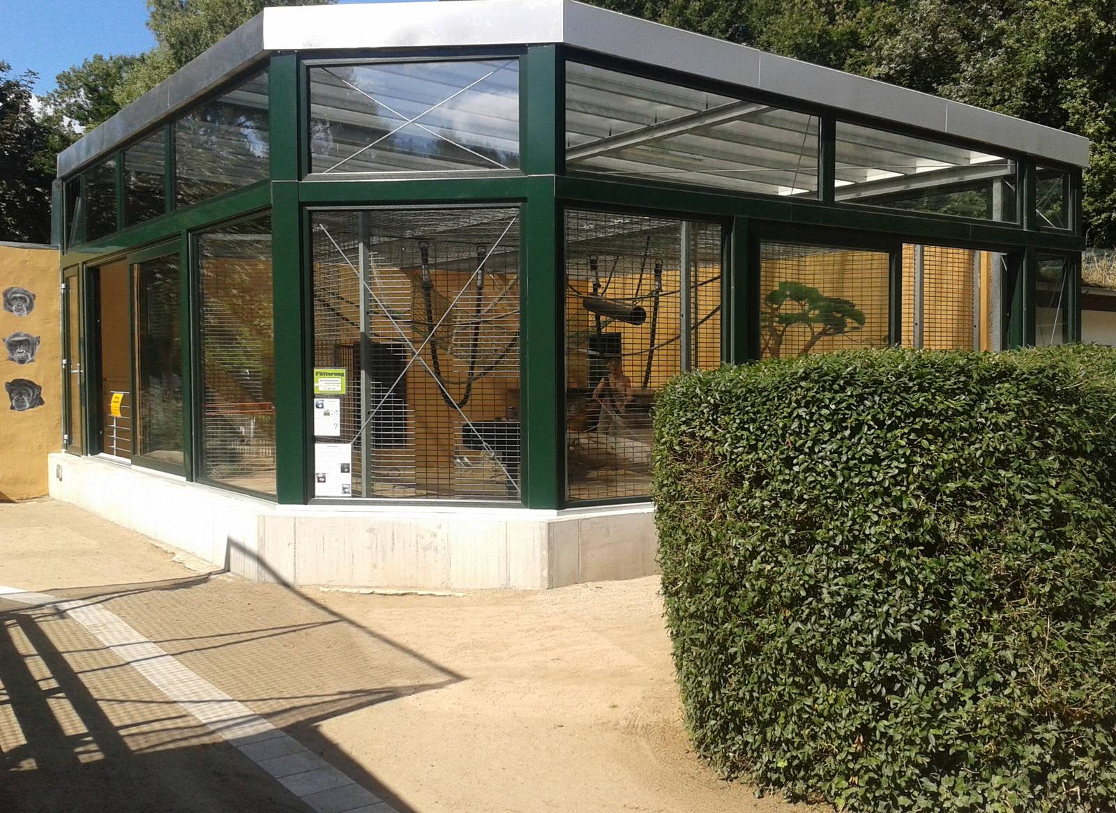 Chimpanzee-enclosure