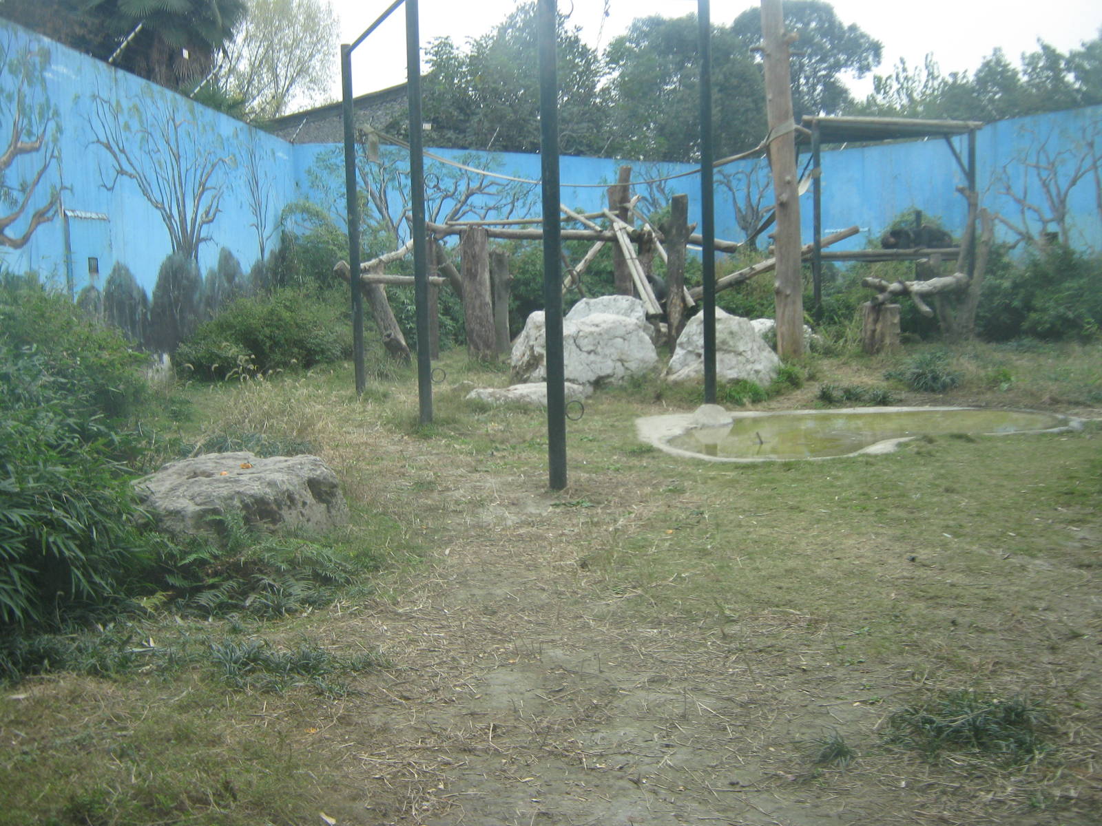 chimpanzee enclosure