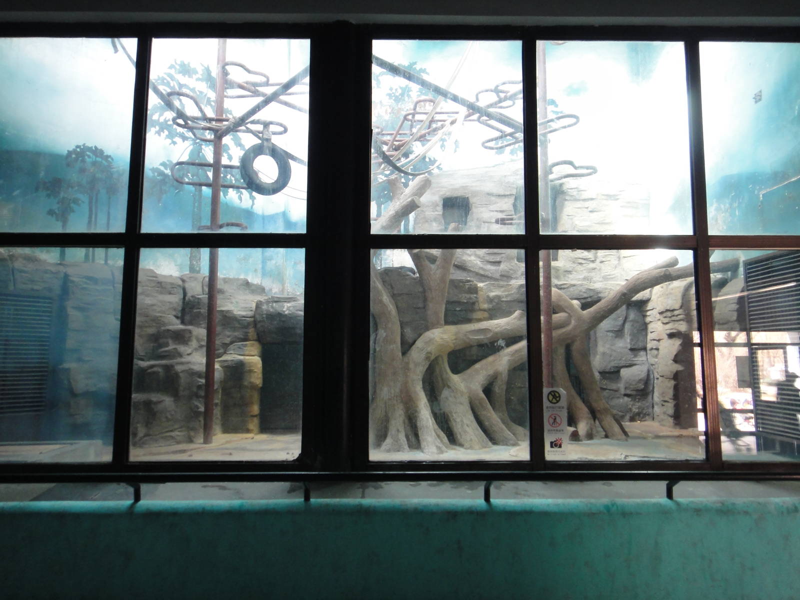 Chimpanzee enclosure