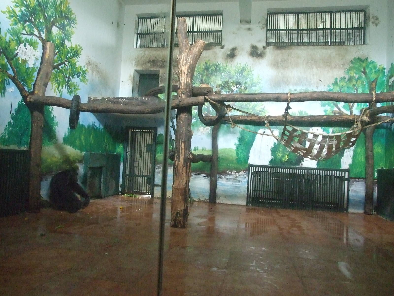 Chimpanzee enclosure