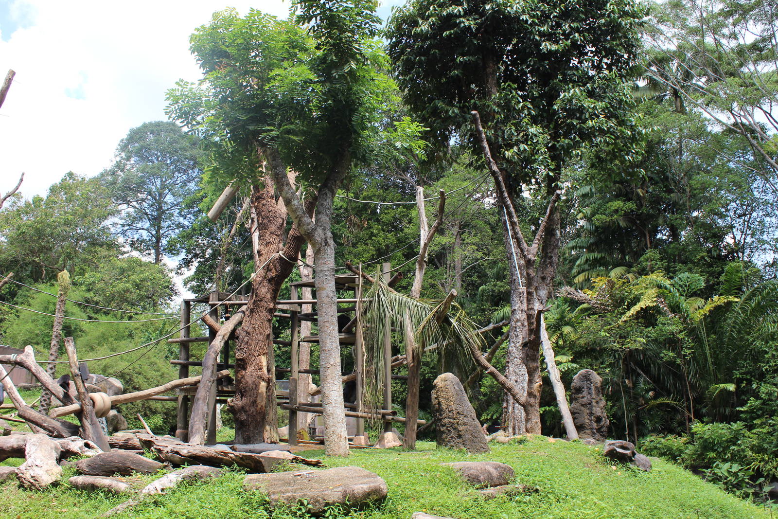 Chimpanzee Enclosure