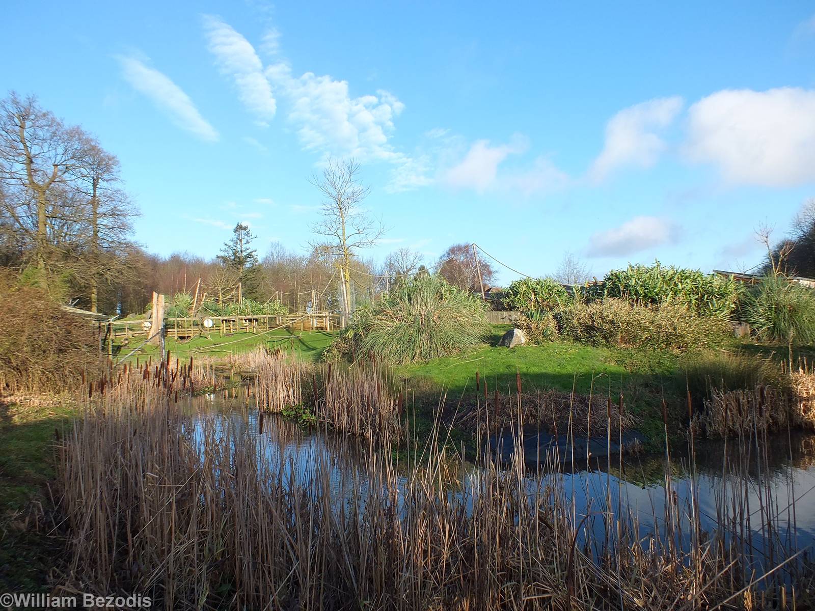 Chimpanzee Enclosure