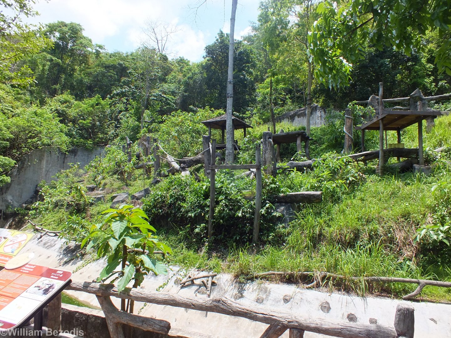 Chimpanzee Enclosure