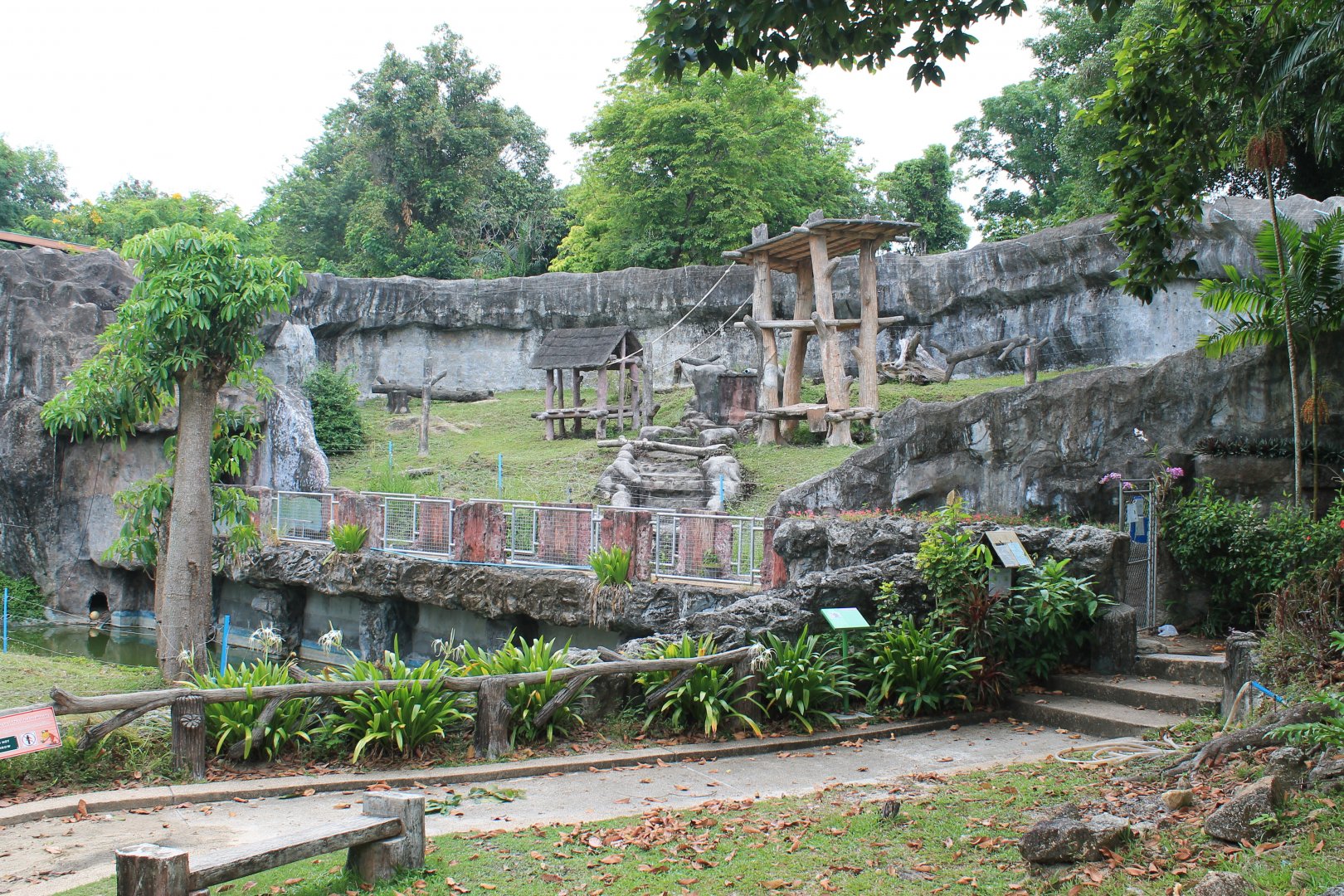 Chimpanzee enclosure