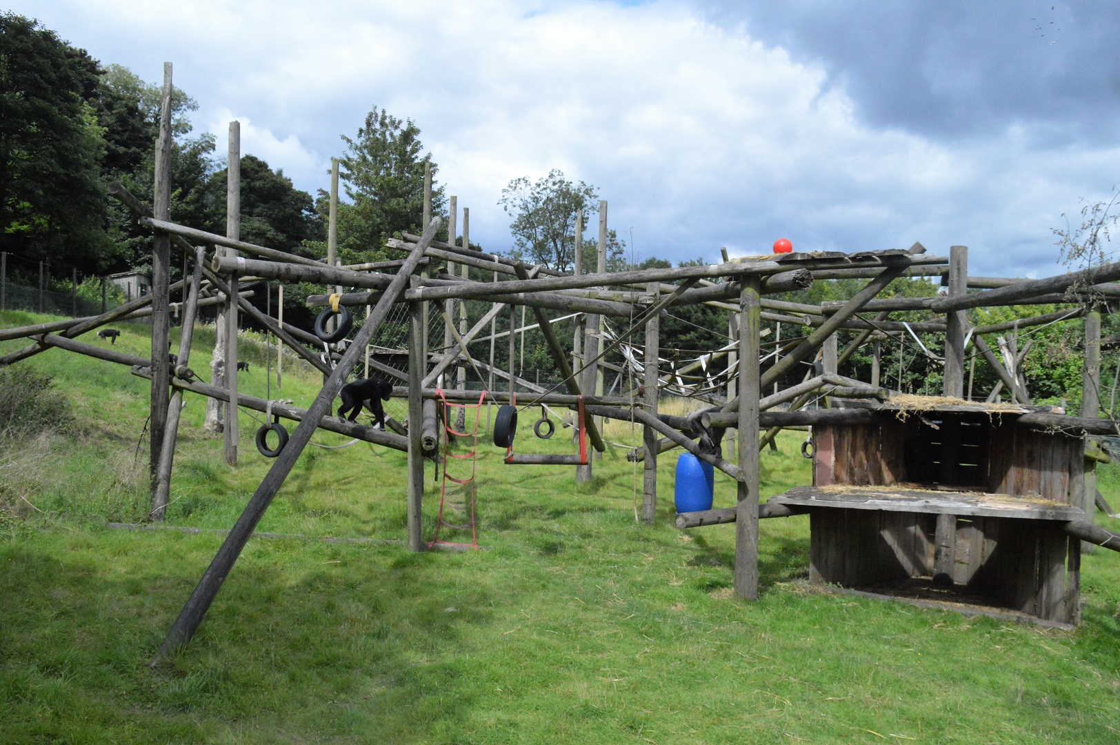 Chimpanzee enclosure