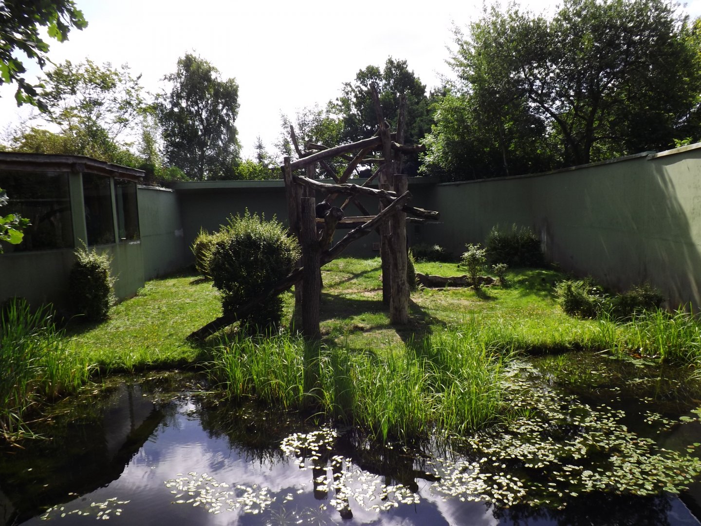 Chimpanzee enclosure