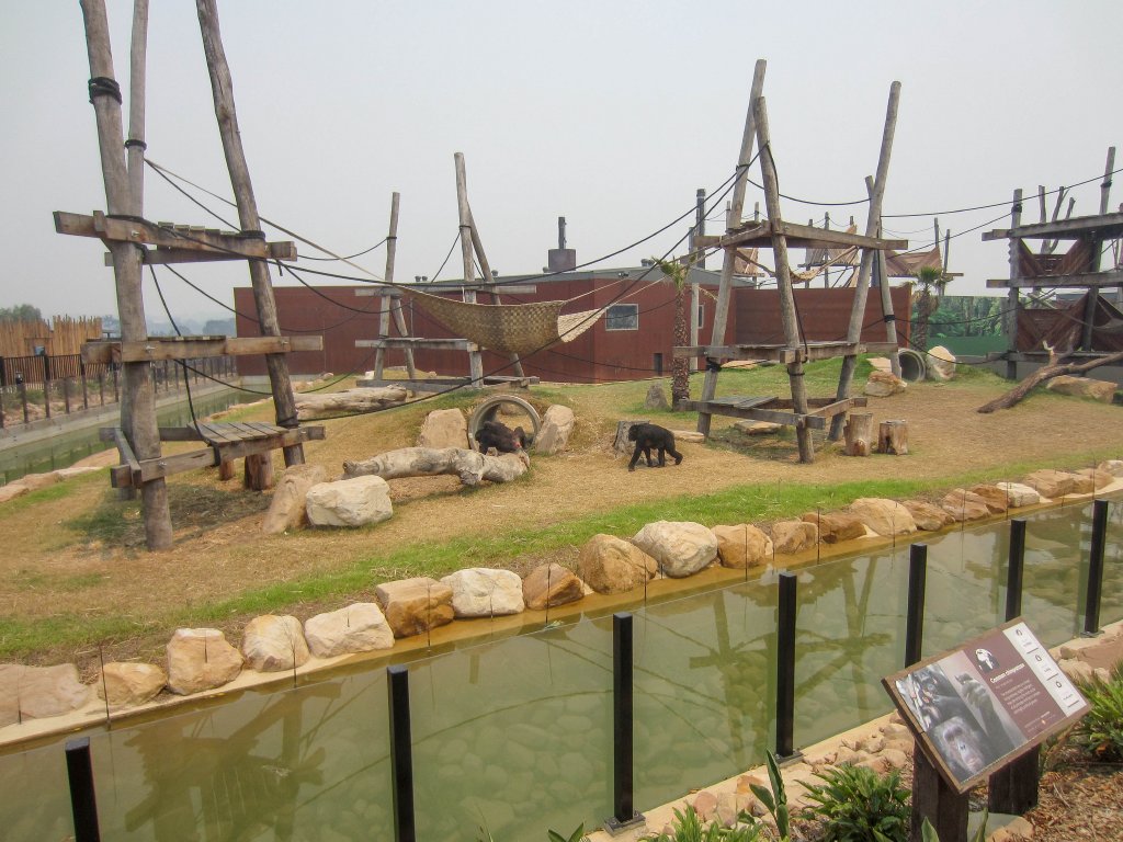 Chimpanzee Enclosure