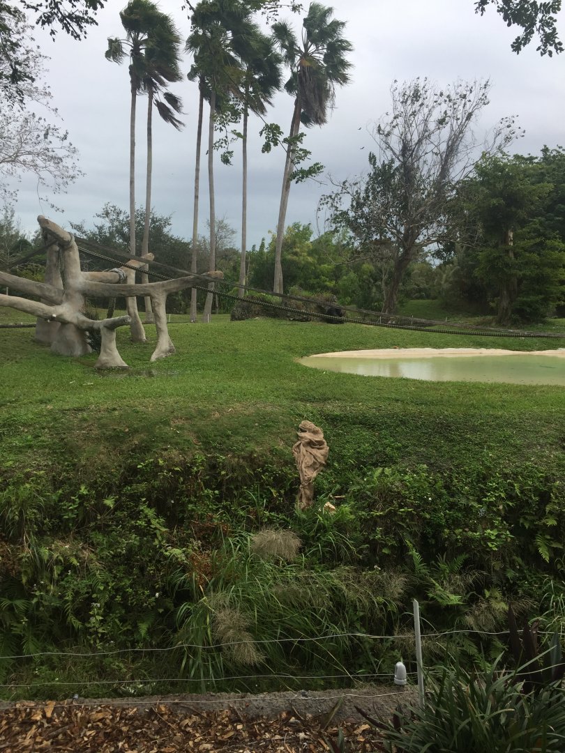 Chimpanzee Enclosure