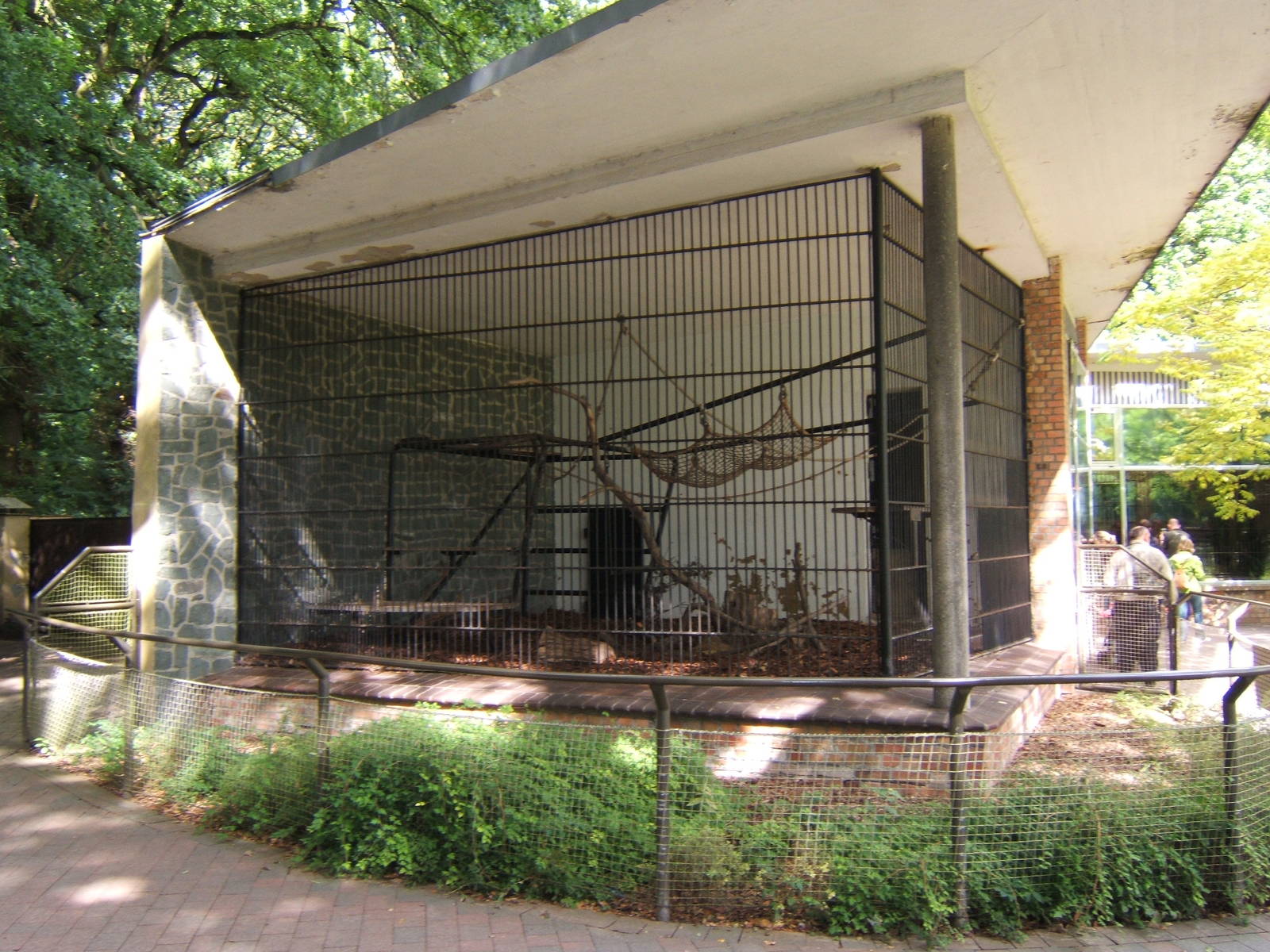 Chimpanzee enclosure