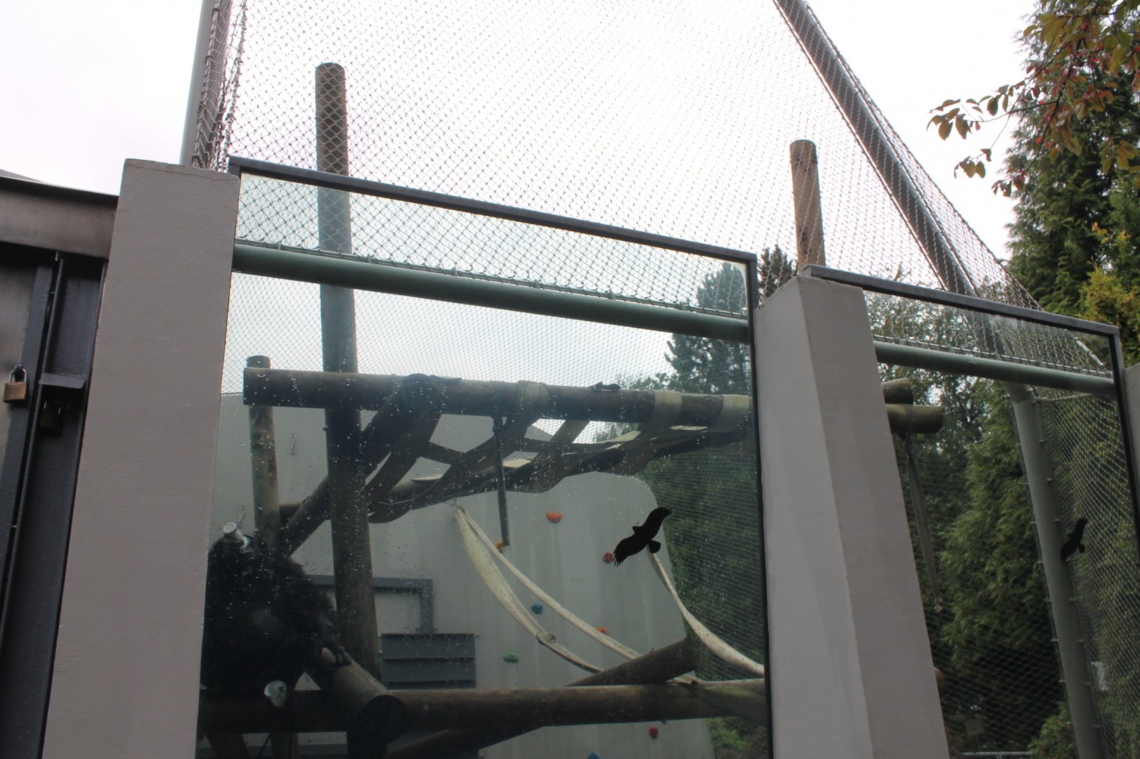 Chimpanzee Enclosure
