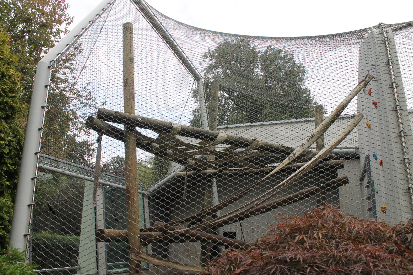 Chimpanzee Enclosure