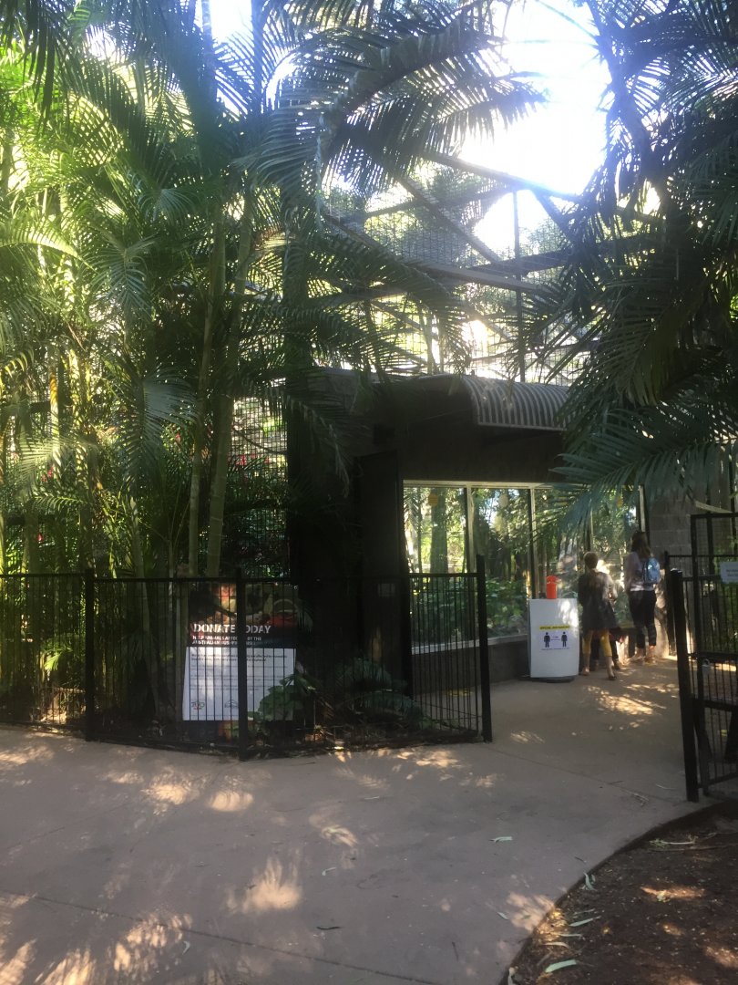 Chimpanzee Enclosure
