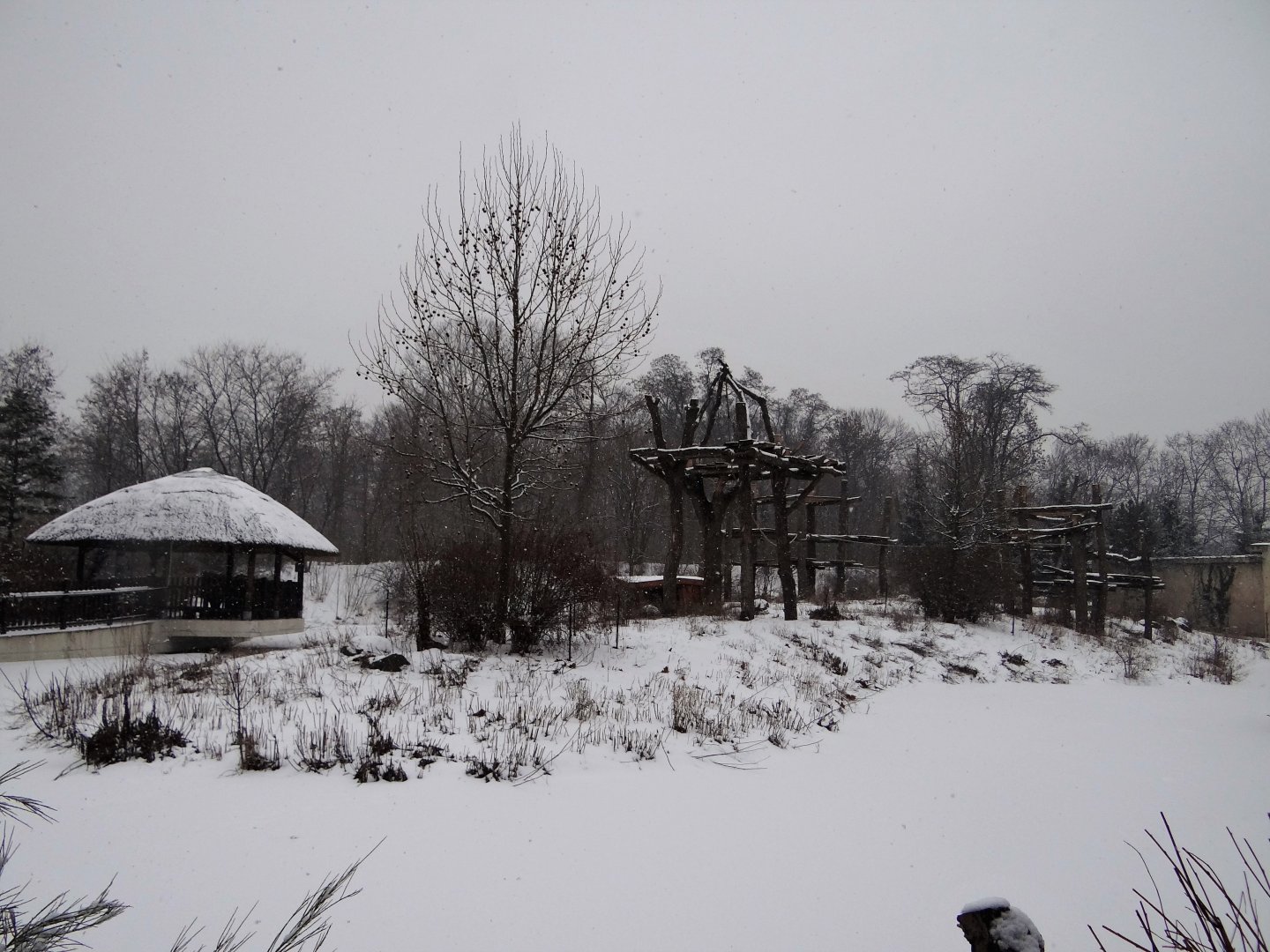 Chimpanzee enclosure