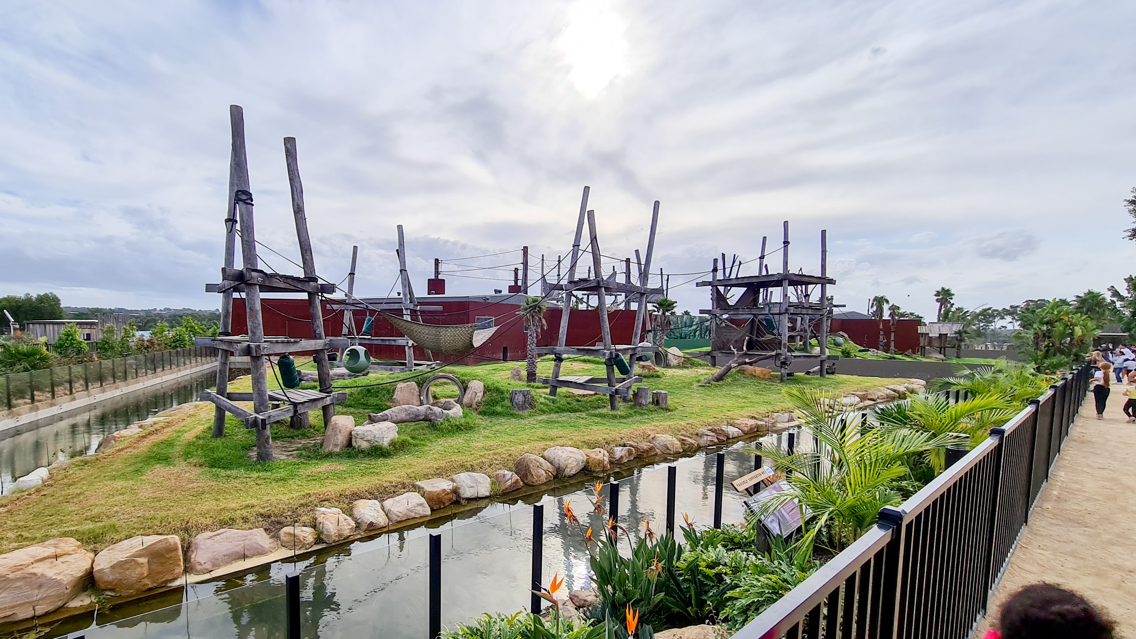 Chimpanzee enclosure