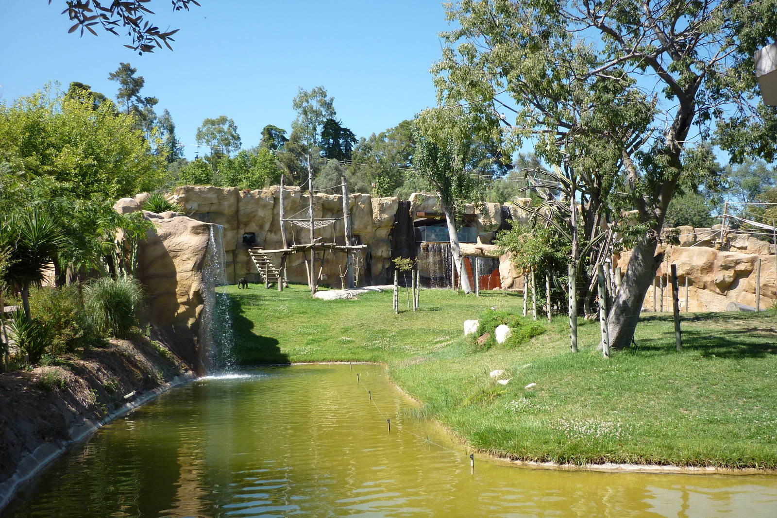 Chimpanzee enclosure