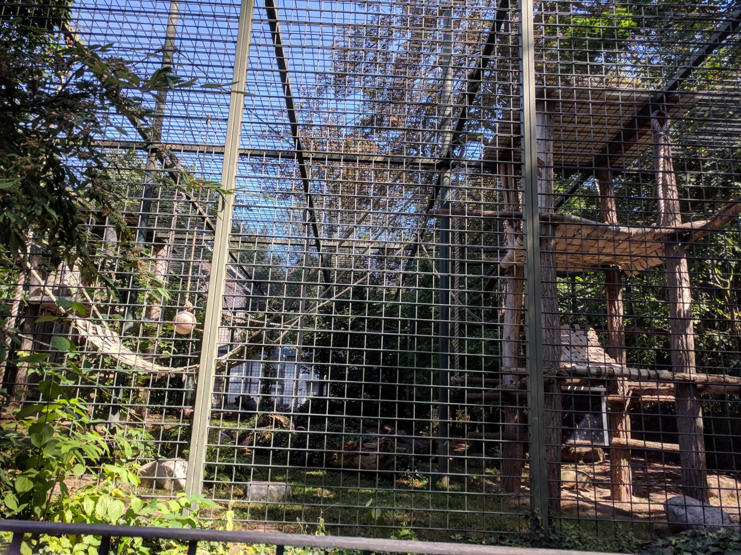 Chimpanzee Enclosure