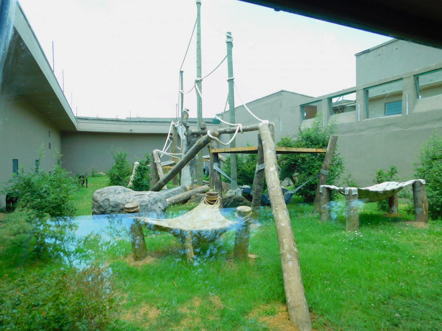 Chimpanzee enclosure