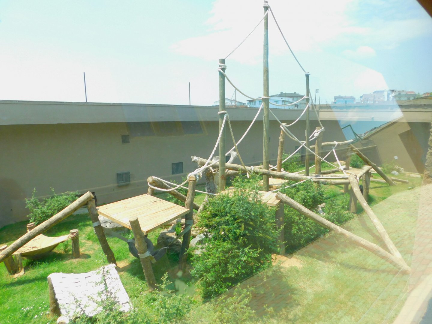 Chimpanzee enclosure