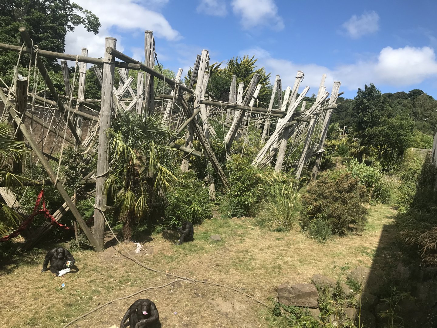 Chimpanzee enclosure