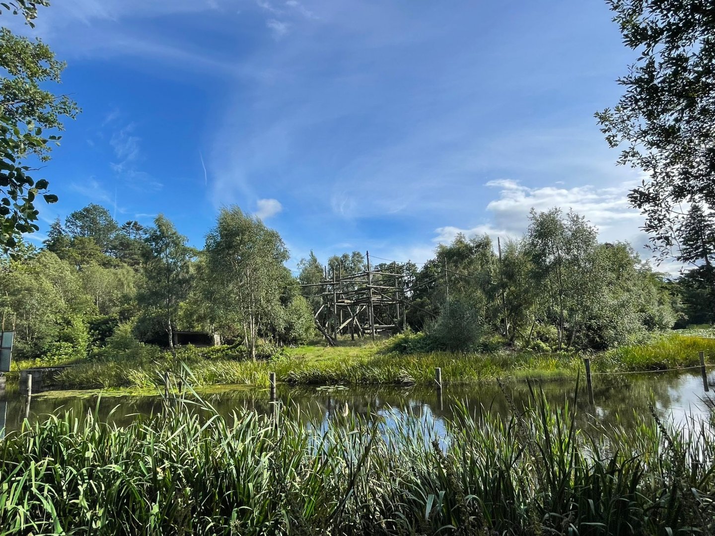 Chimpanzee enclosure