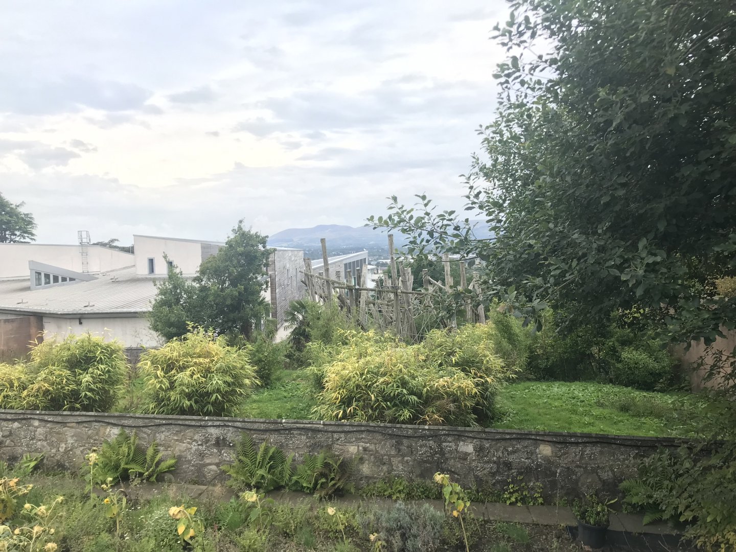 Chimpanzee enclosure