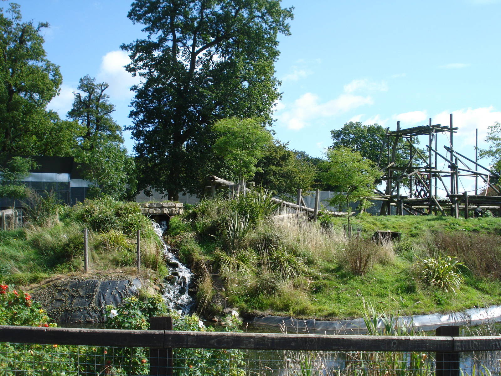 Chimpanzee enclosure