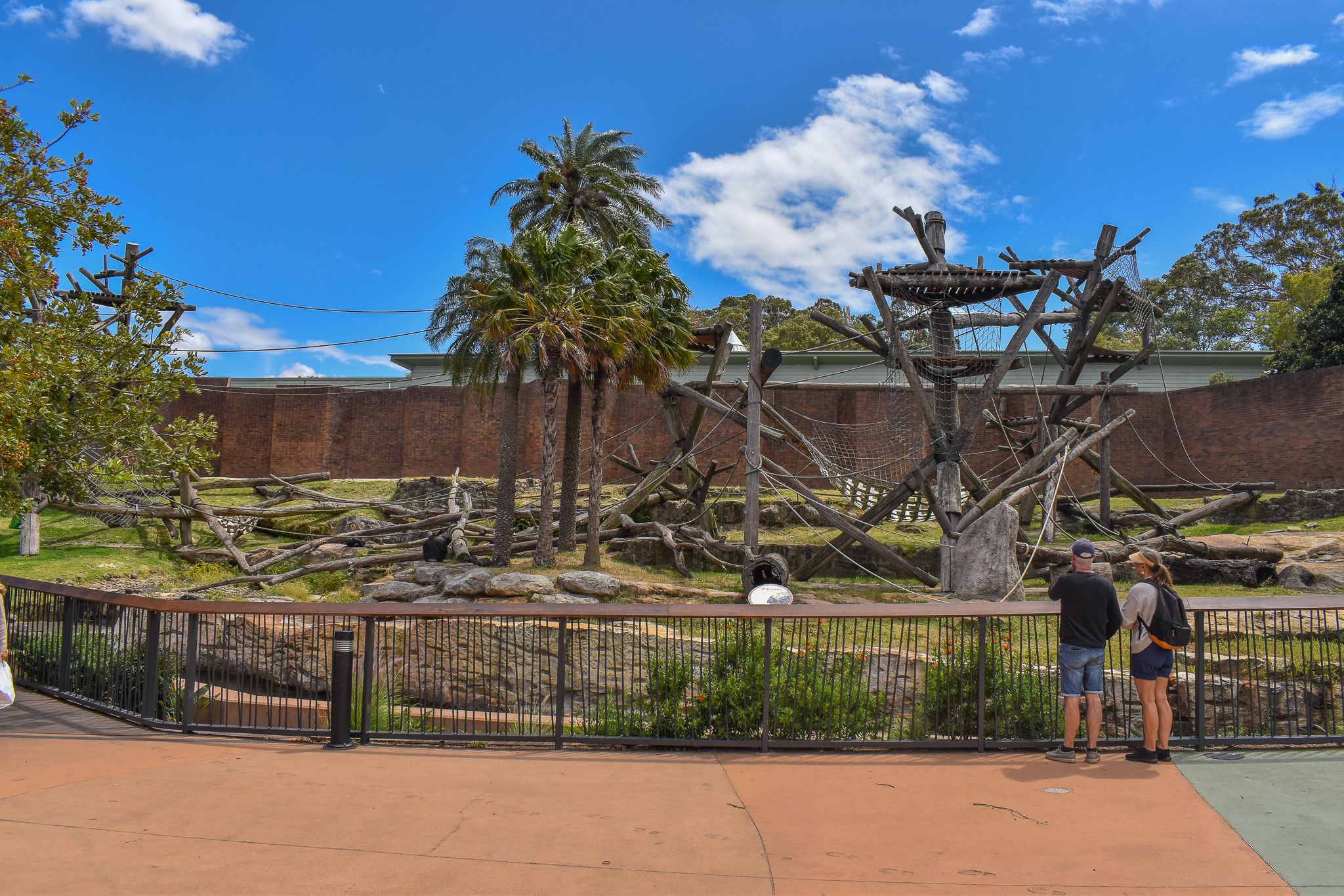 Chimpanzee Enclosure