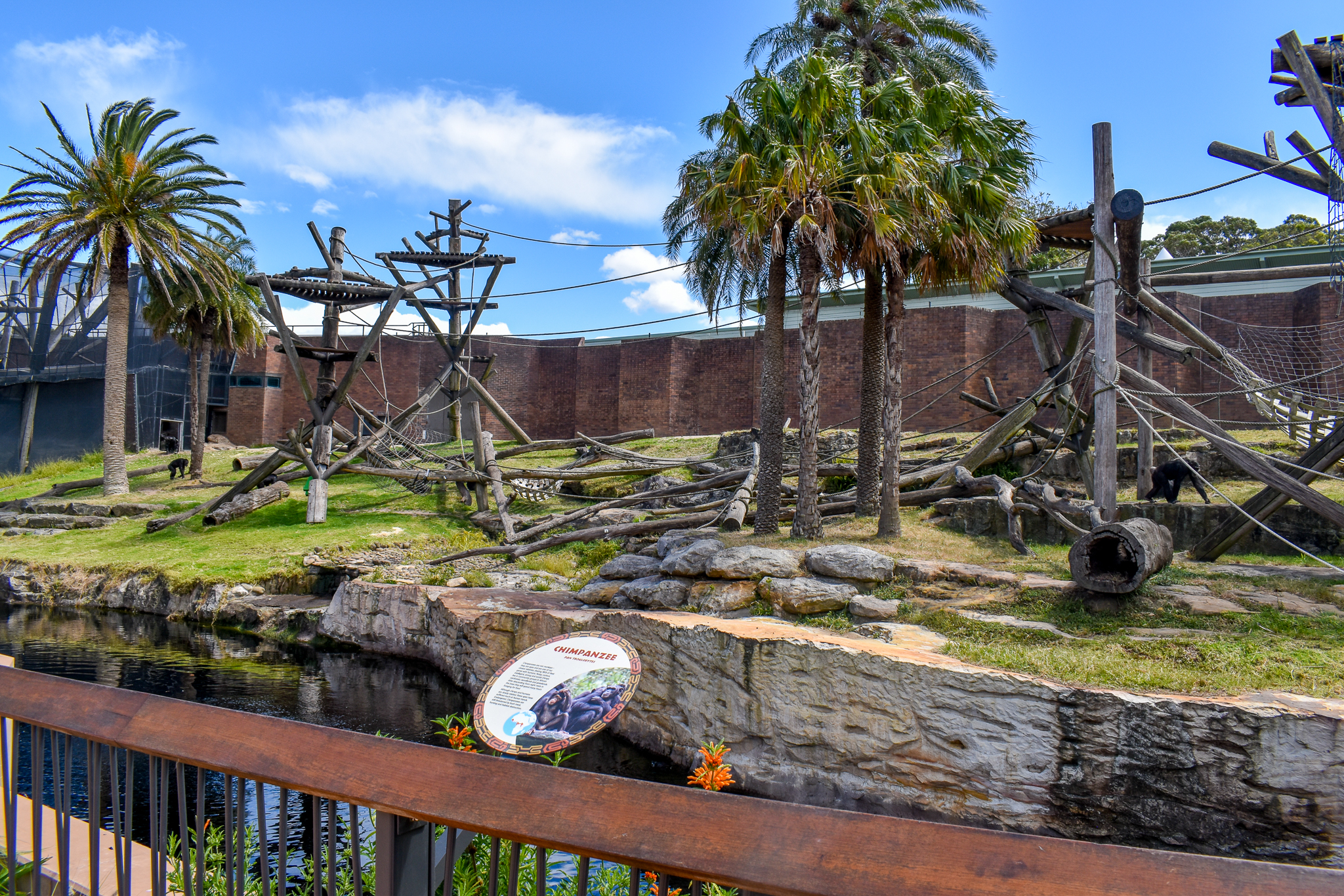 Chimpanzee Enclosure