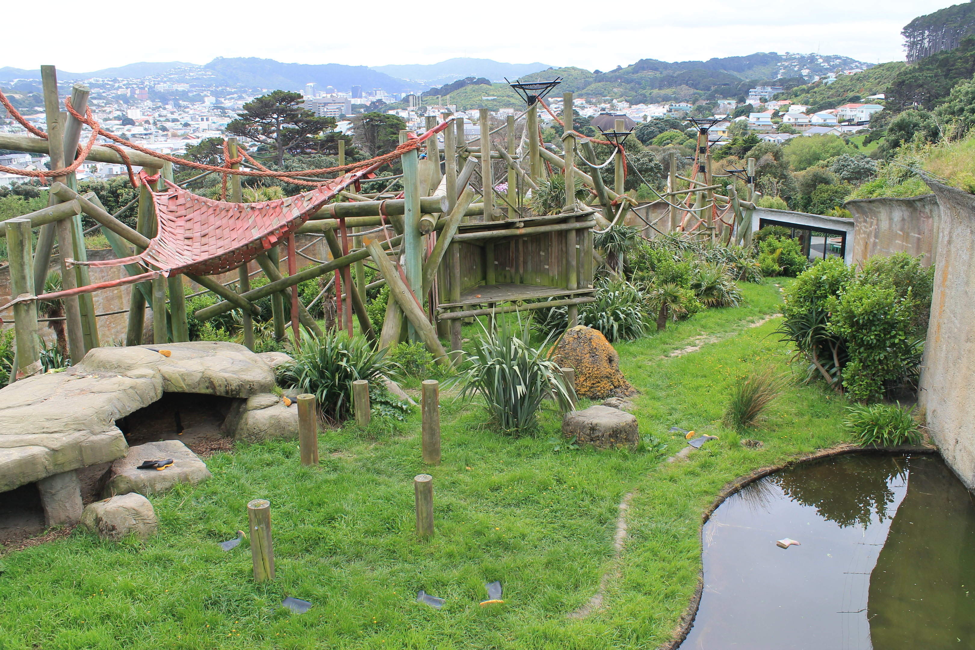 Chimpanzee enclosure