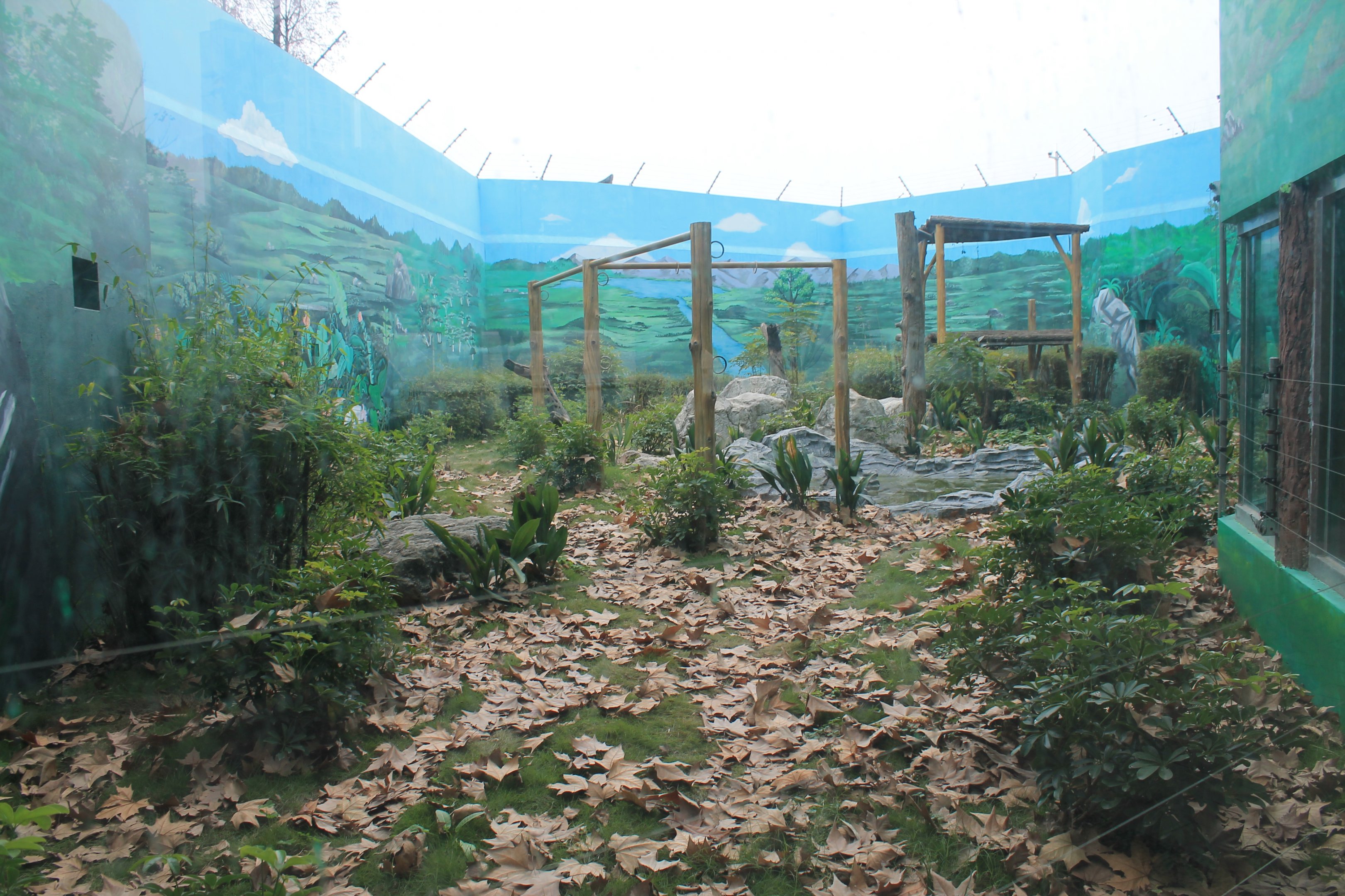 Chimpanzee enclosure