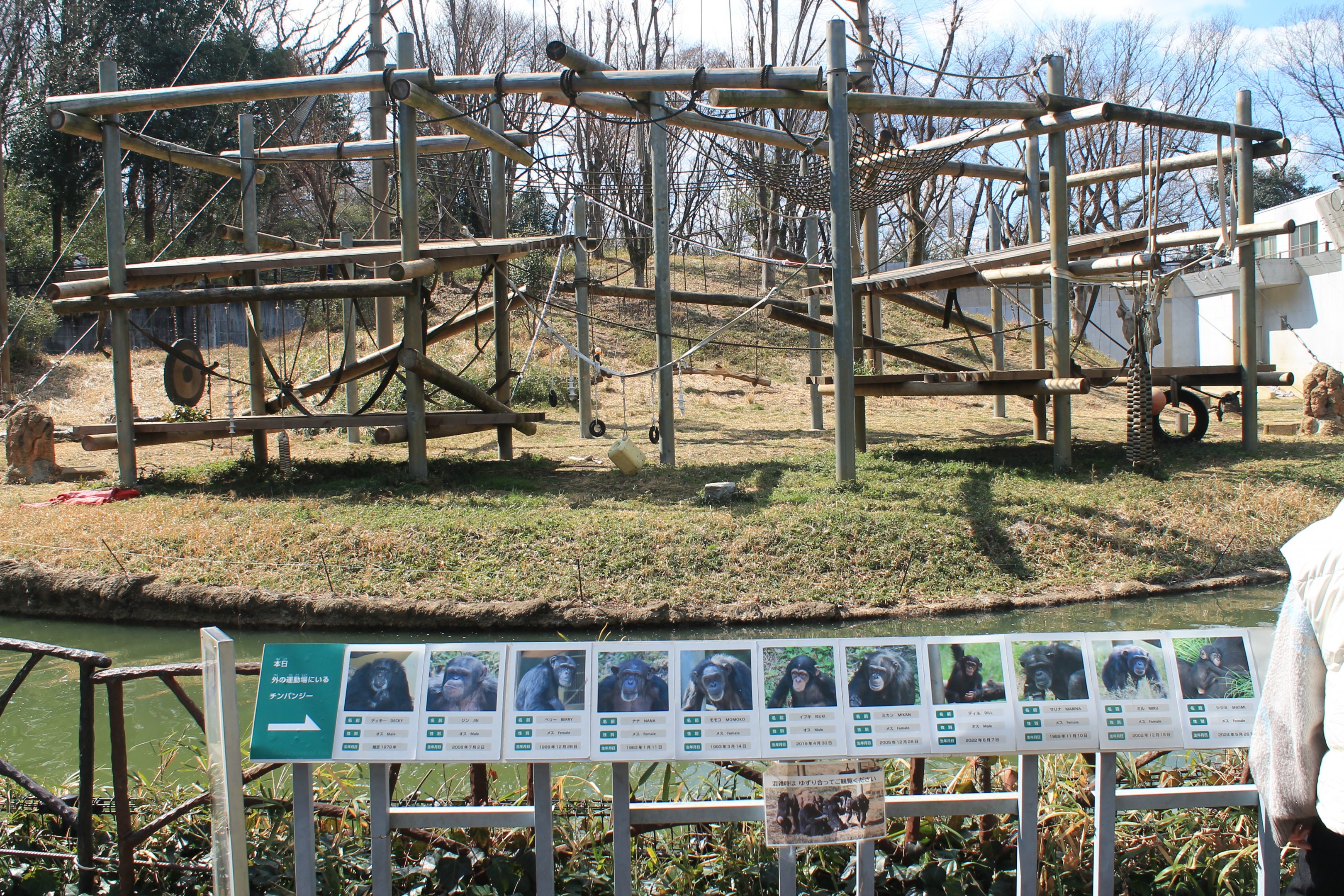 Chimpanzee enclosure