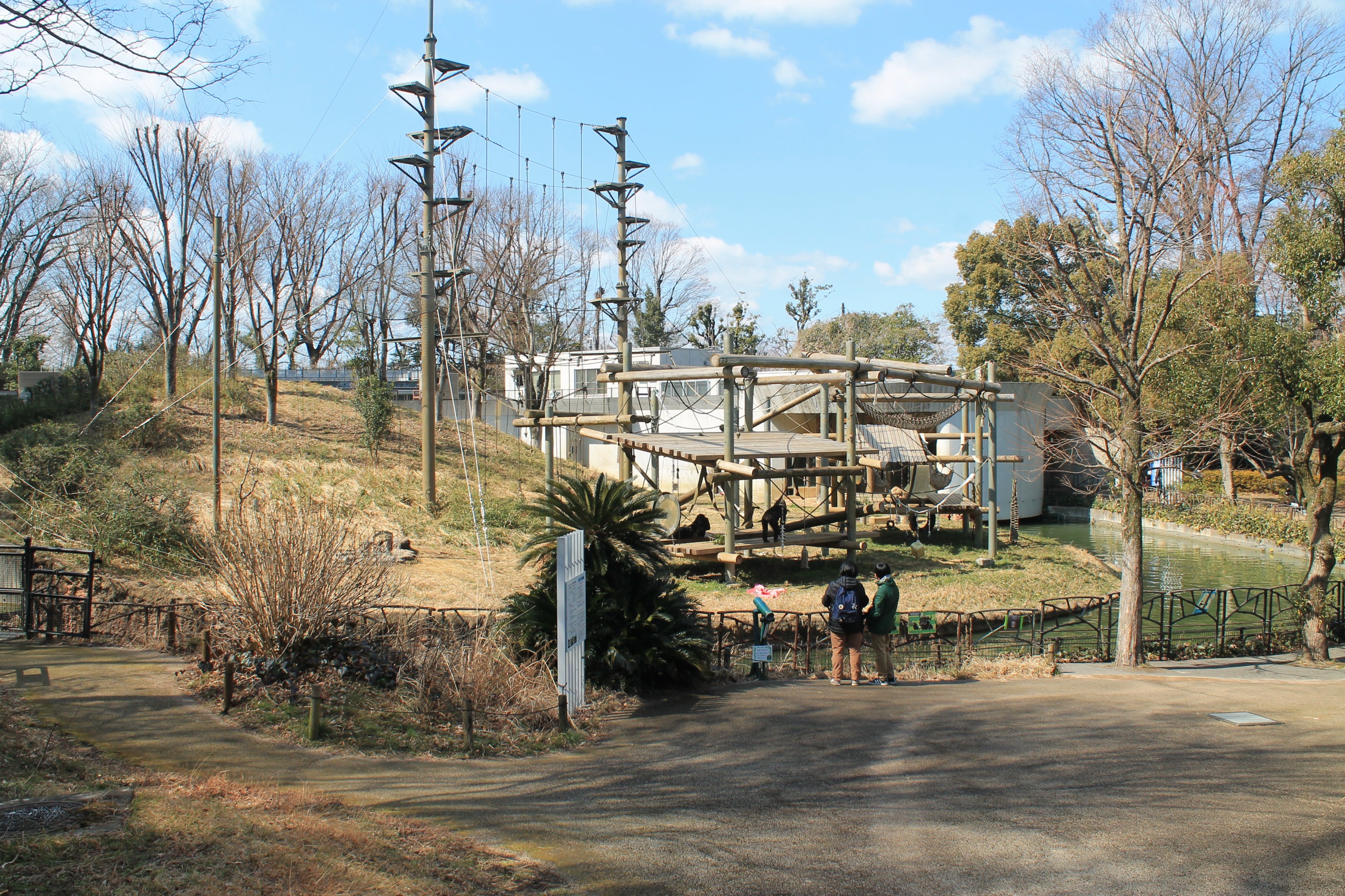 Chimpanzee enclosure
