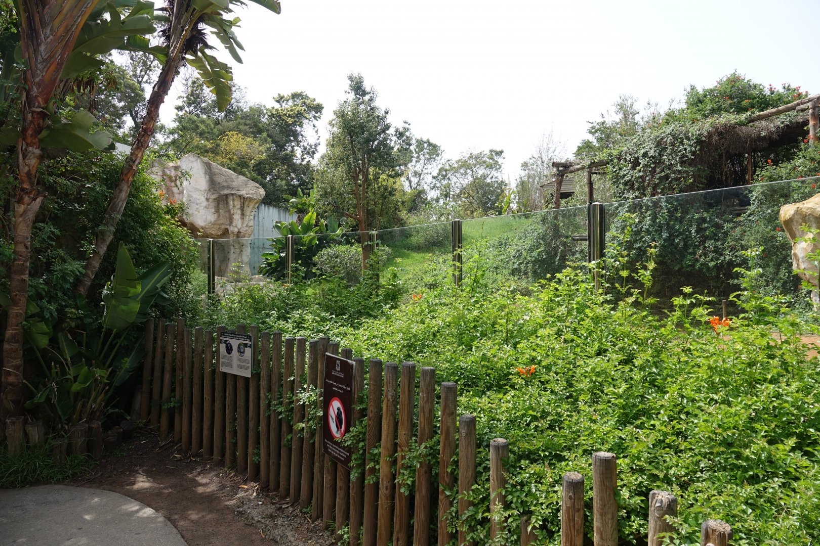 Chimpanzee Enclosure