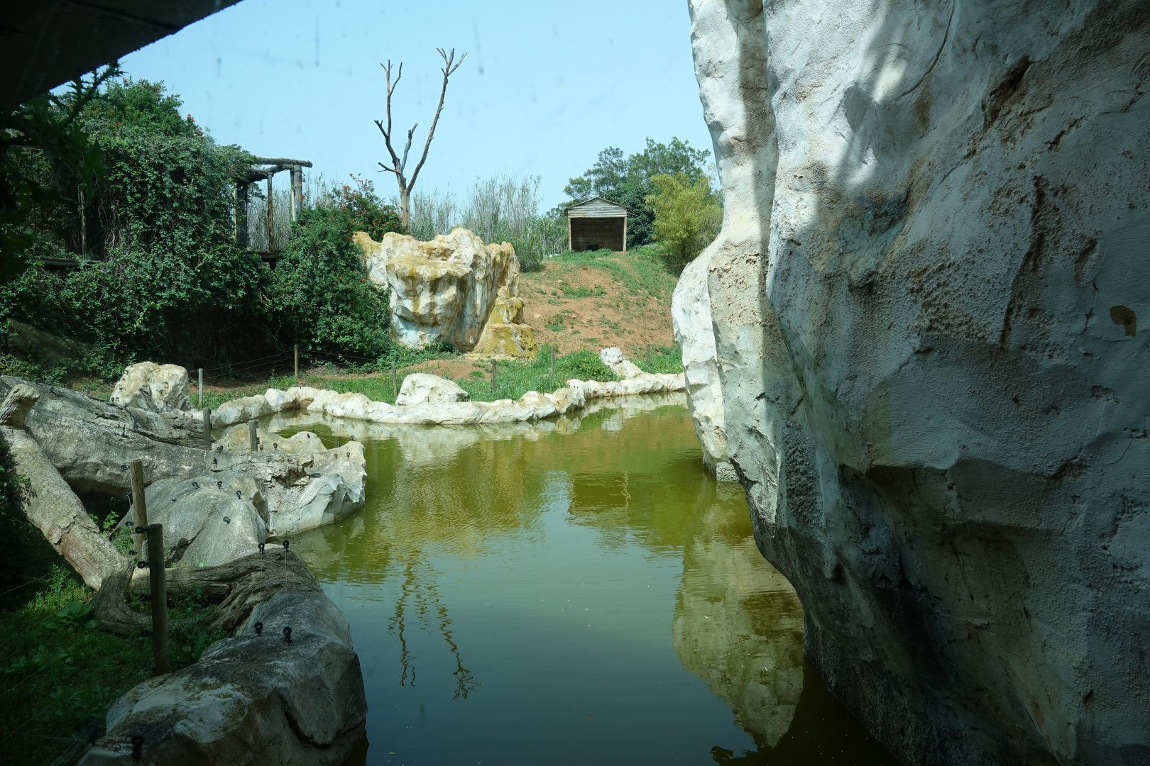 Chimpanzee Enclosure