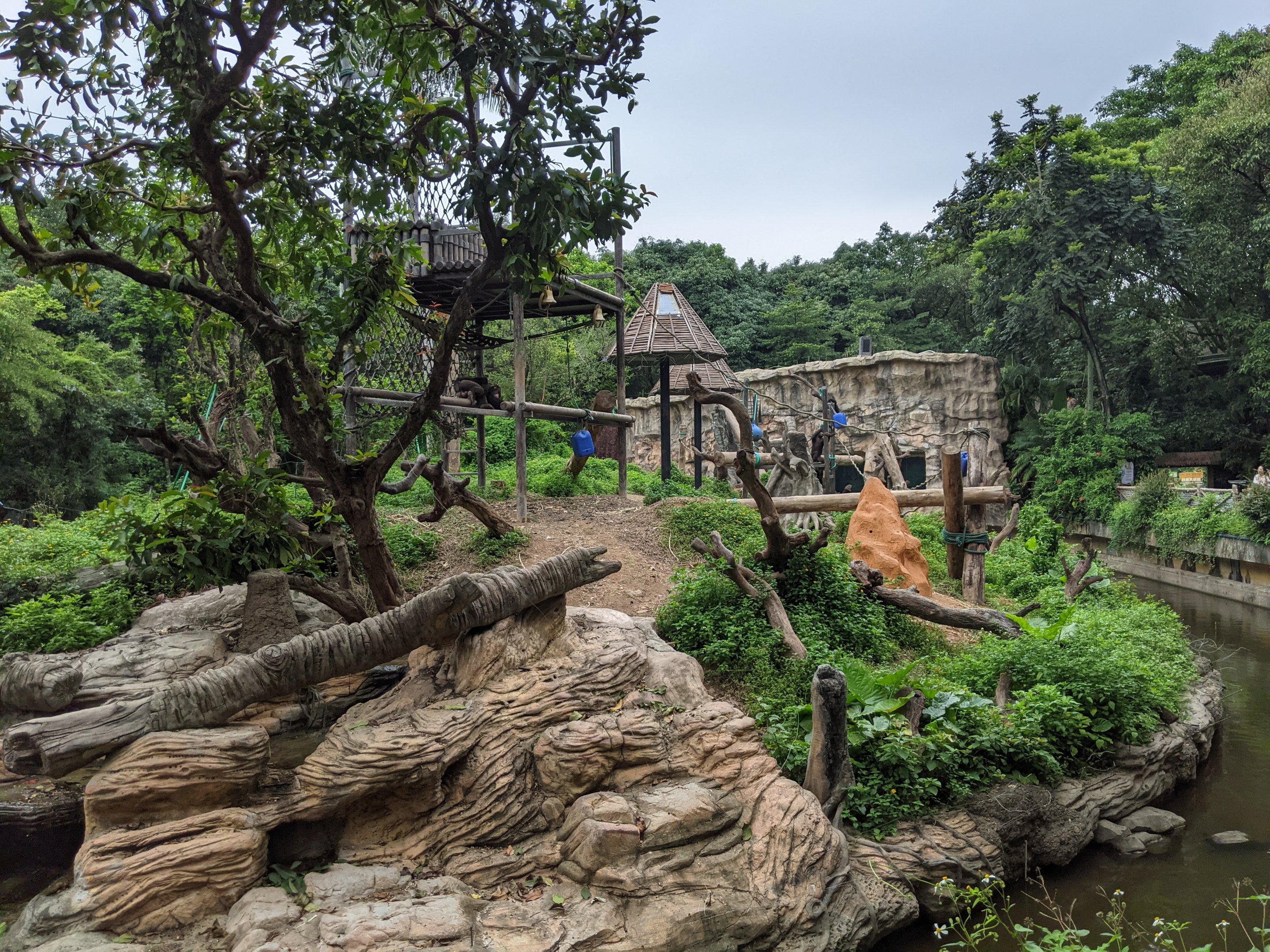 Chimpanzee enclosure