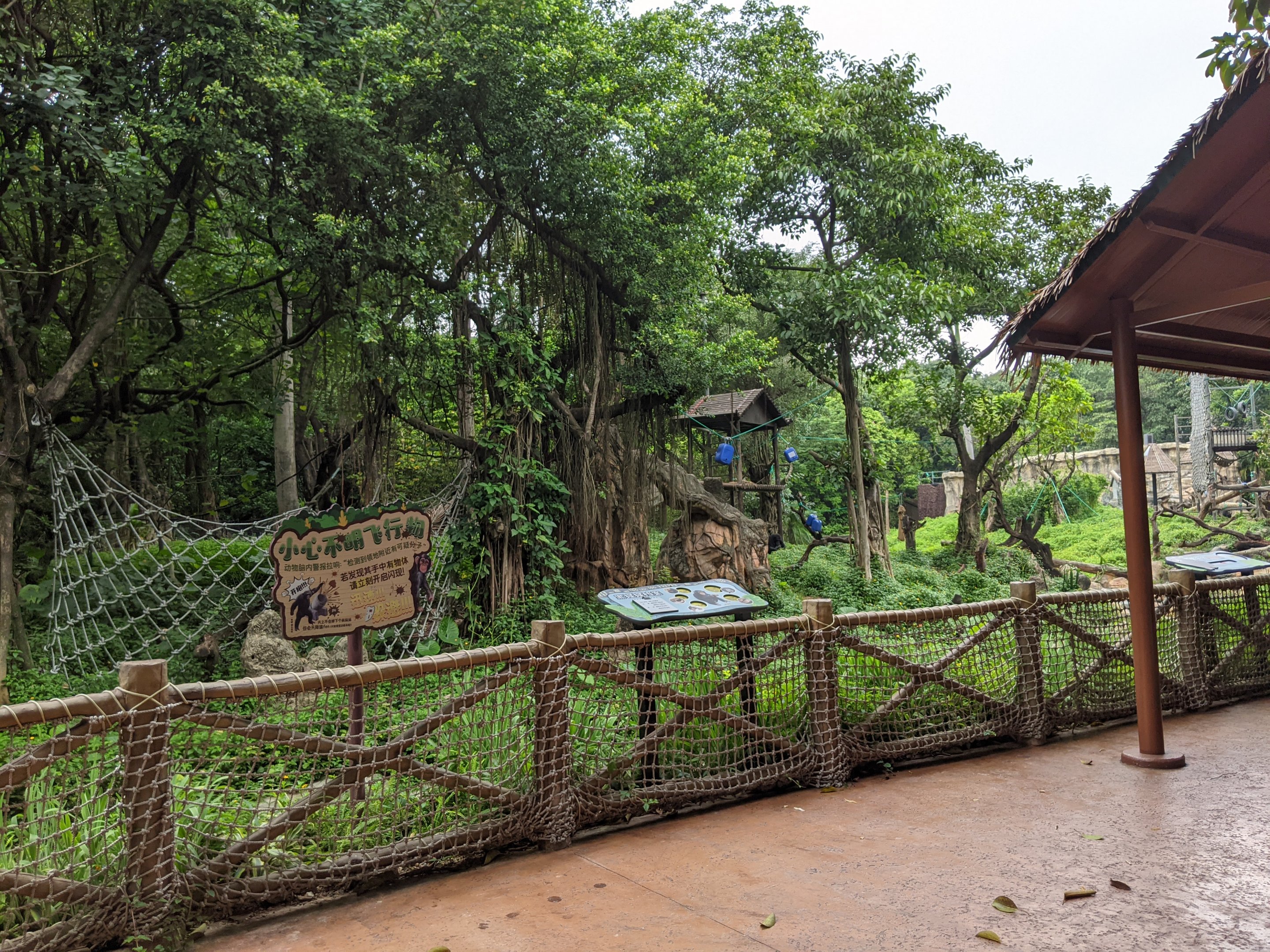 Chimpanzee enclosure