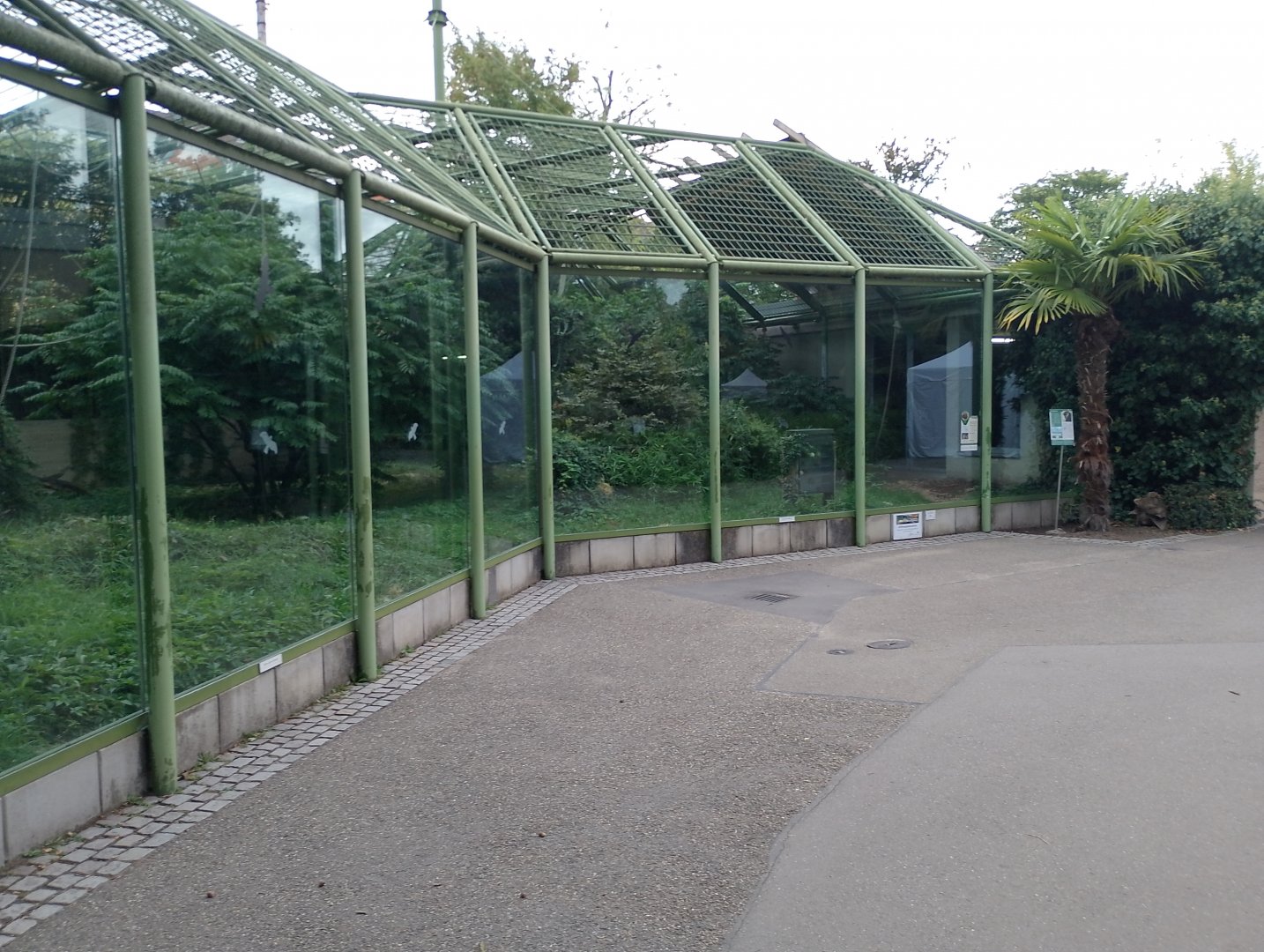 Chimpanzee enclosure