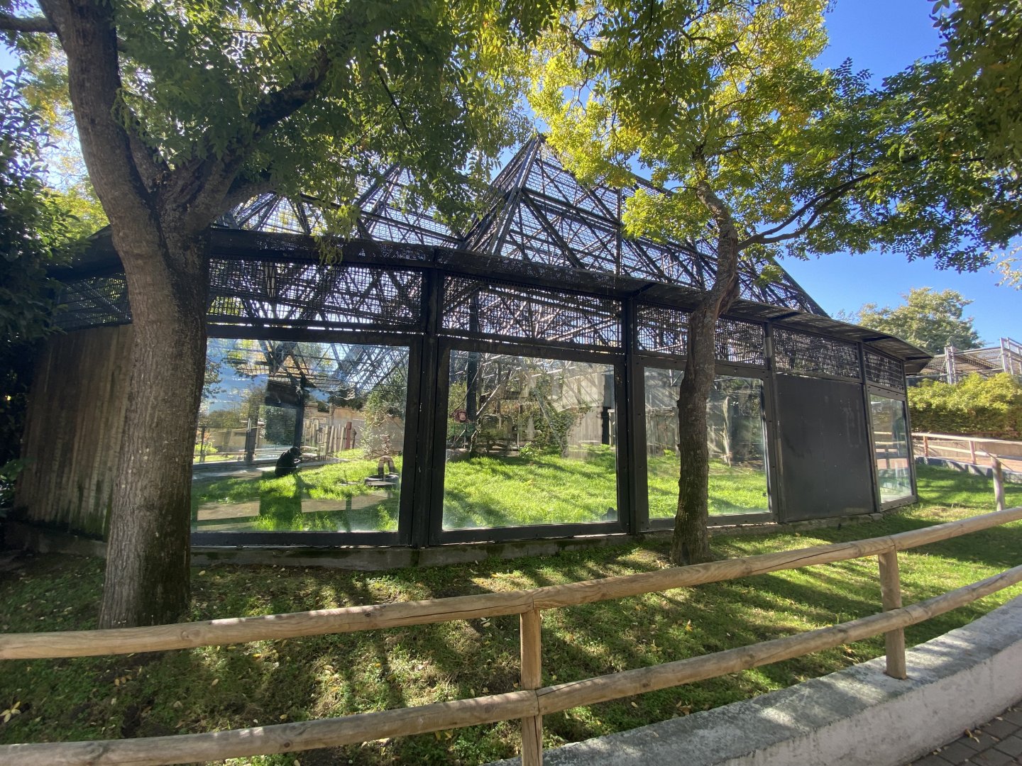 Chimpanzee enclosure